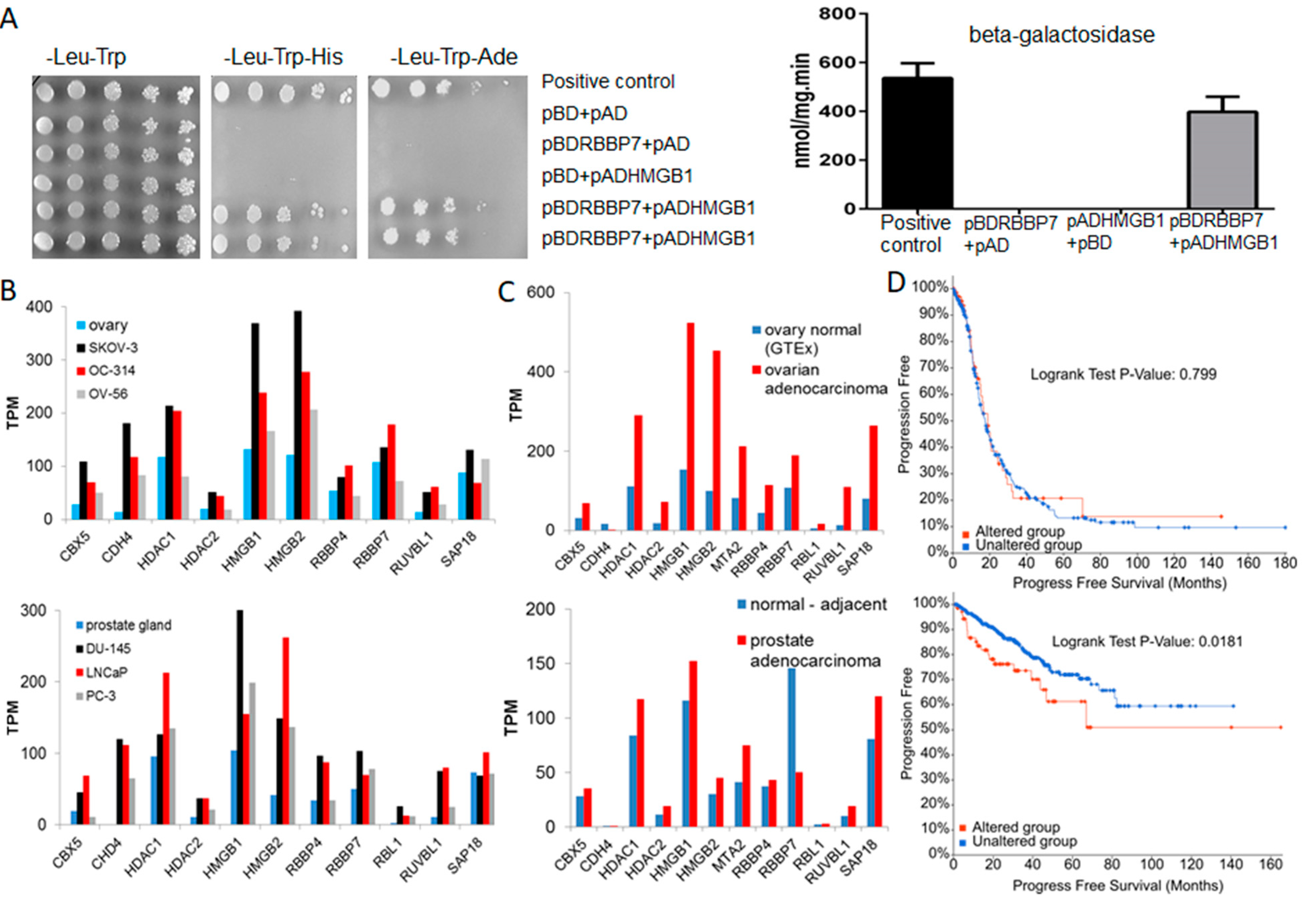 Cancers 13 04686 g003 Cancers 13 04686 g003