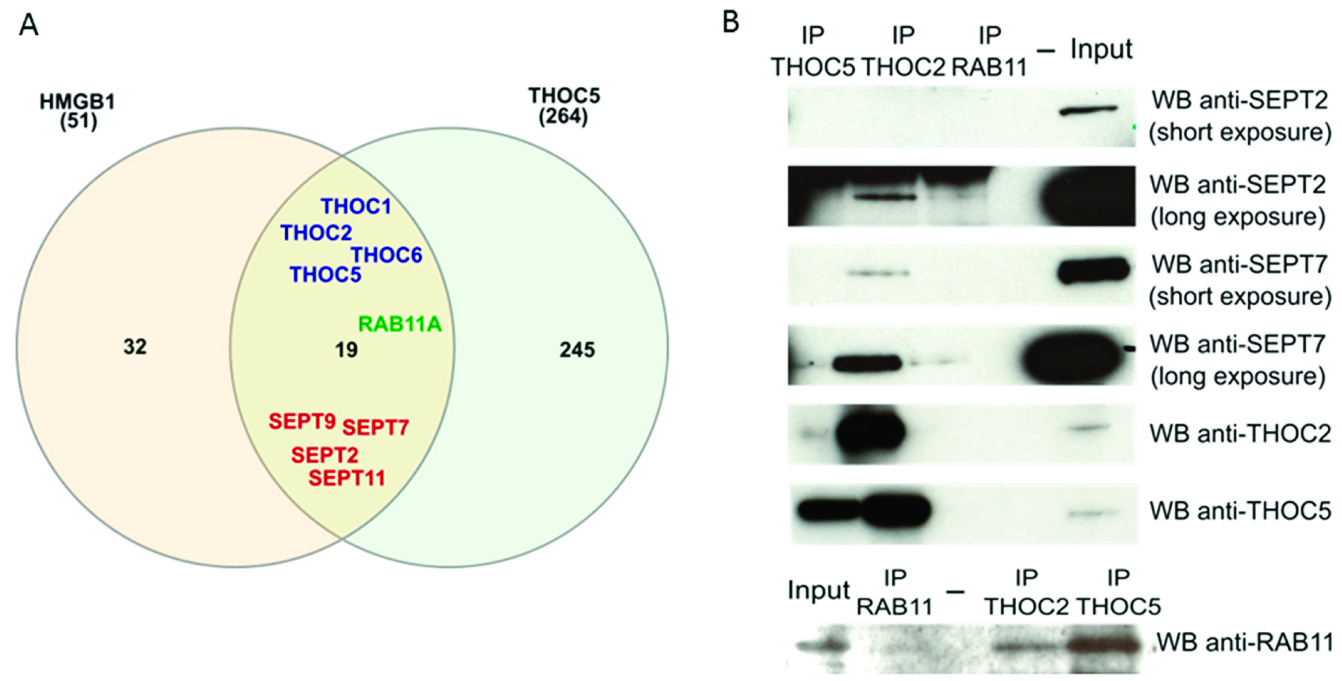 Cancers 13 04686 g004 Cancers 13 04686 g004