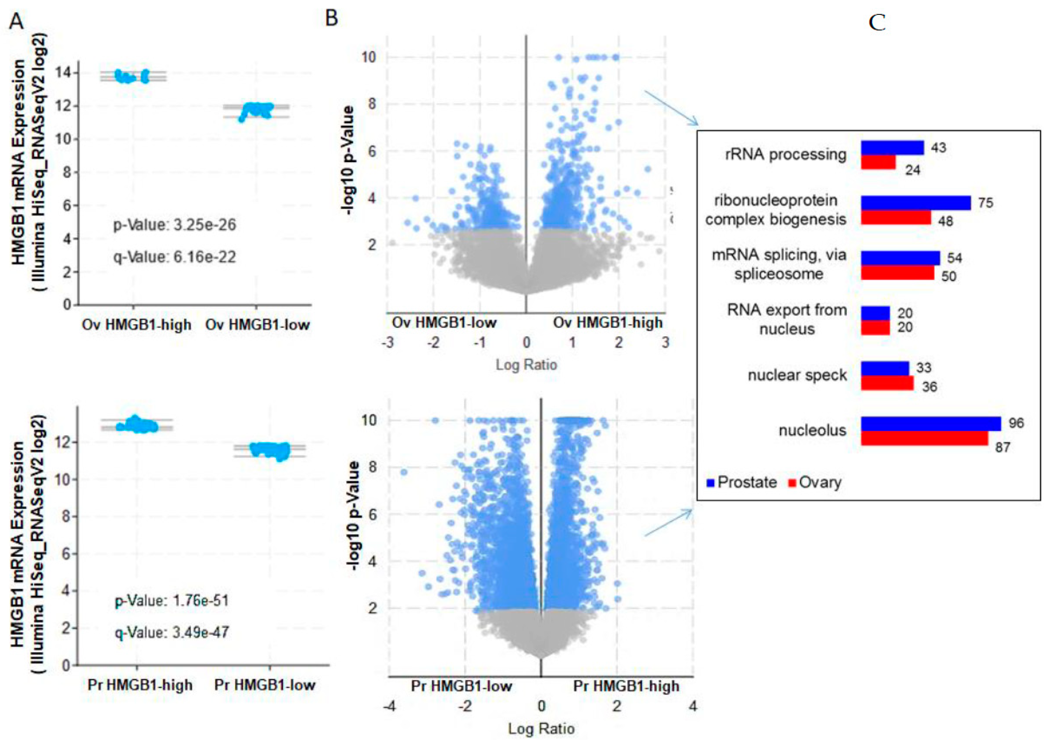 Cancers 13 04686 g005 Cancers 13 04686 g005