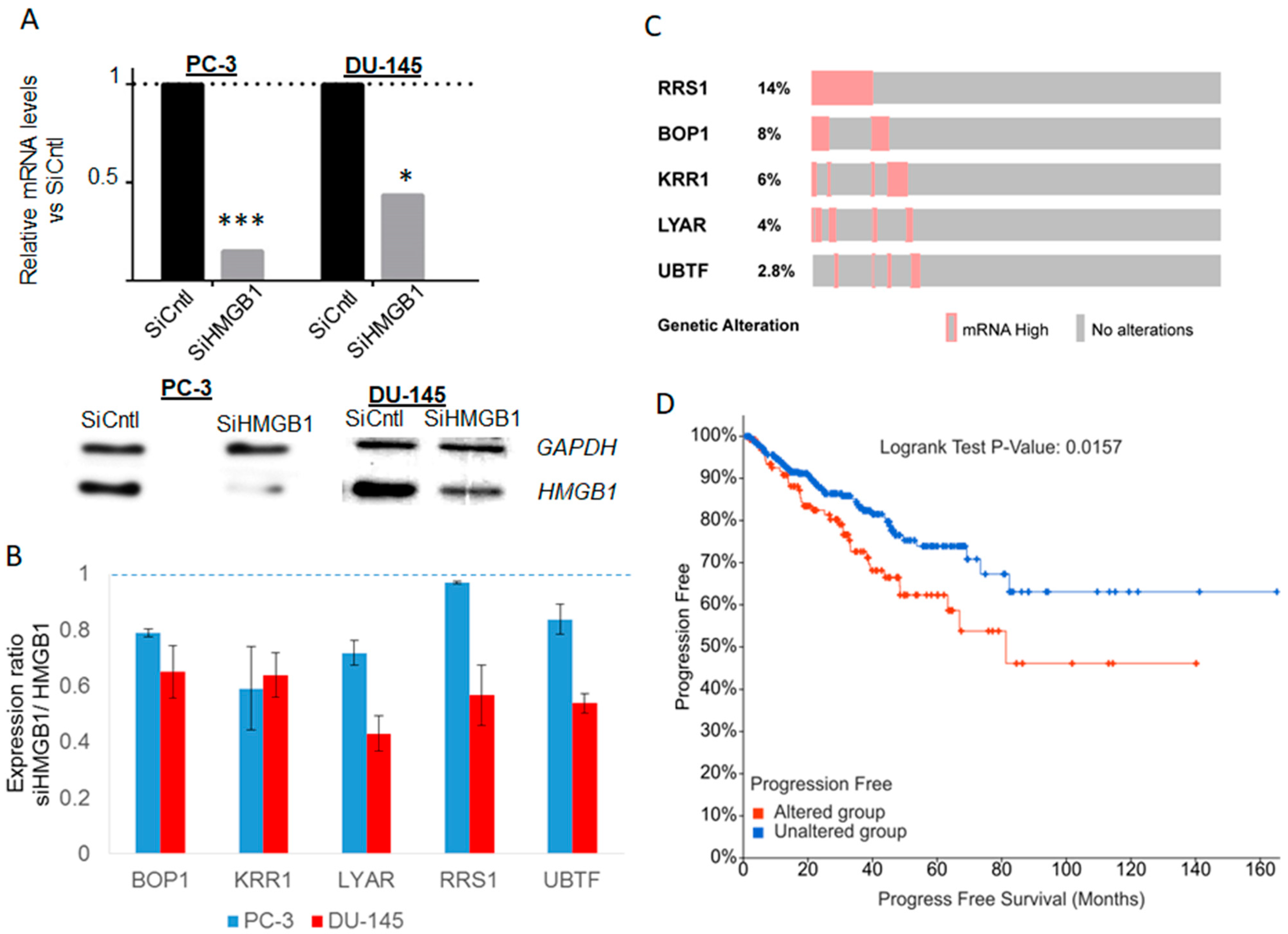 Cancers 13 04686 g007 Cancers 13 04686 g007