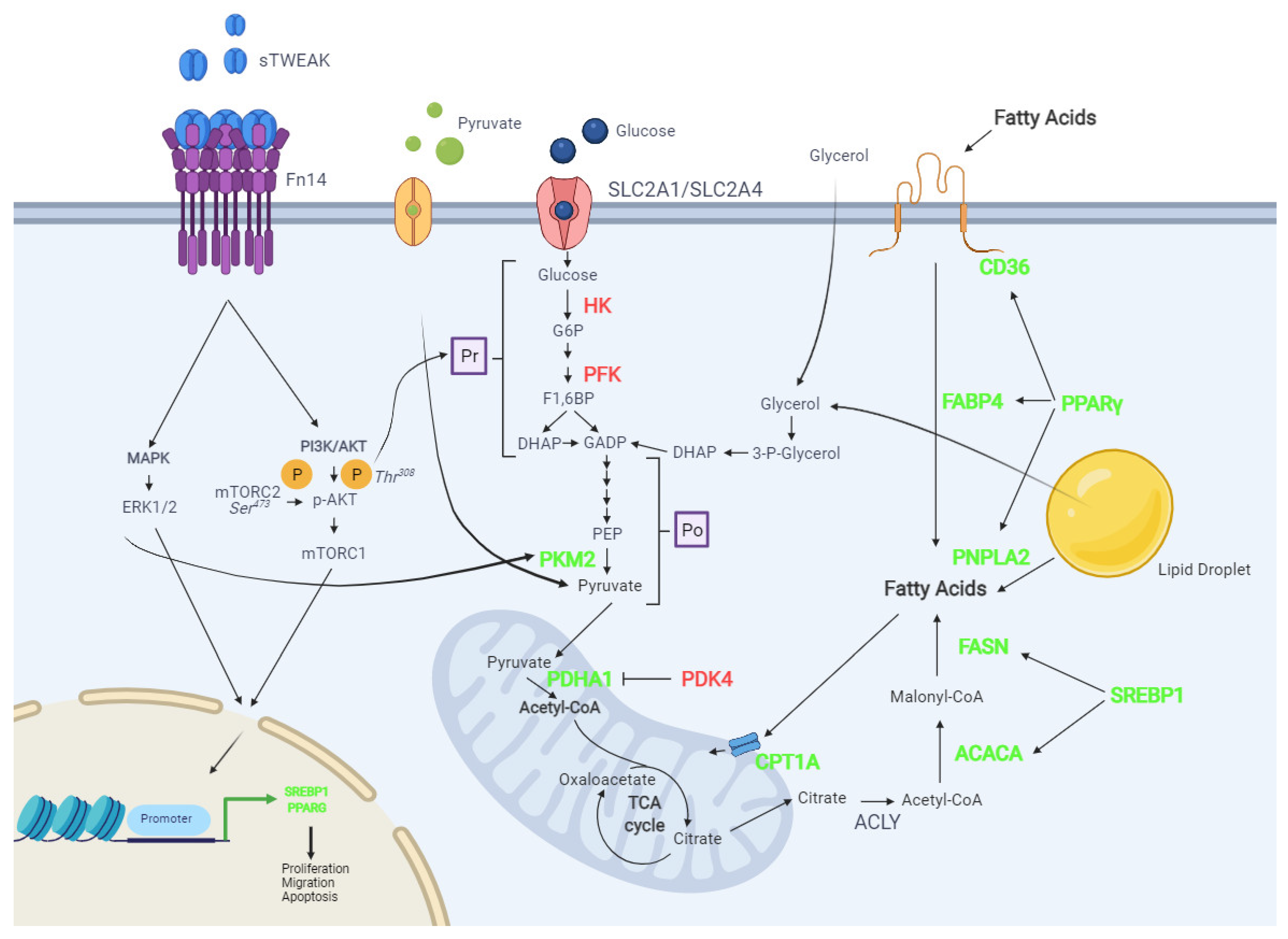 Cancers 13 04688 g006