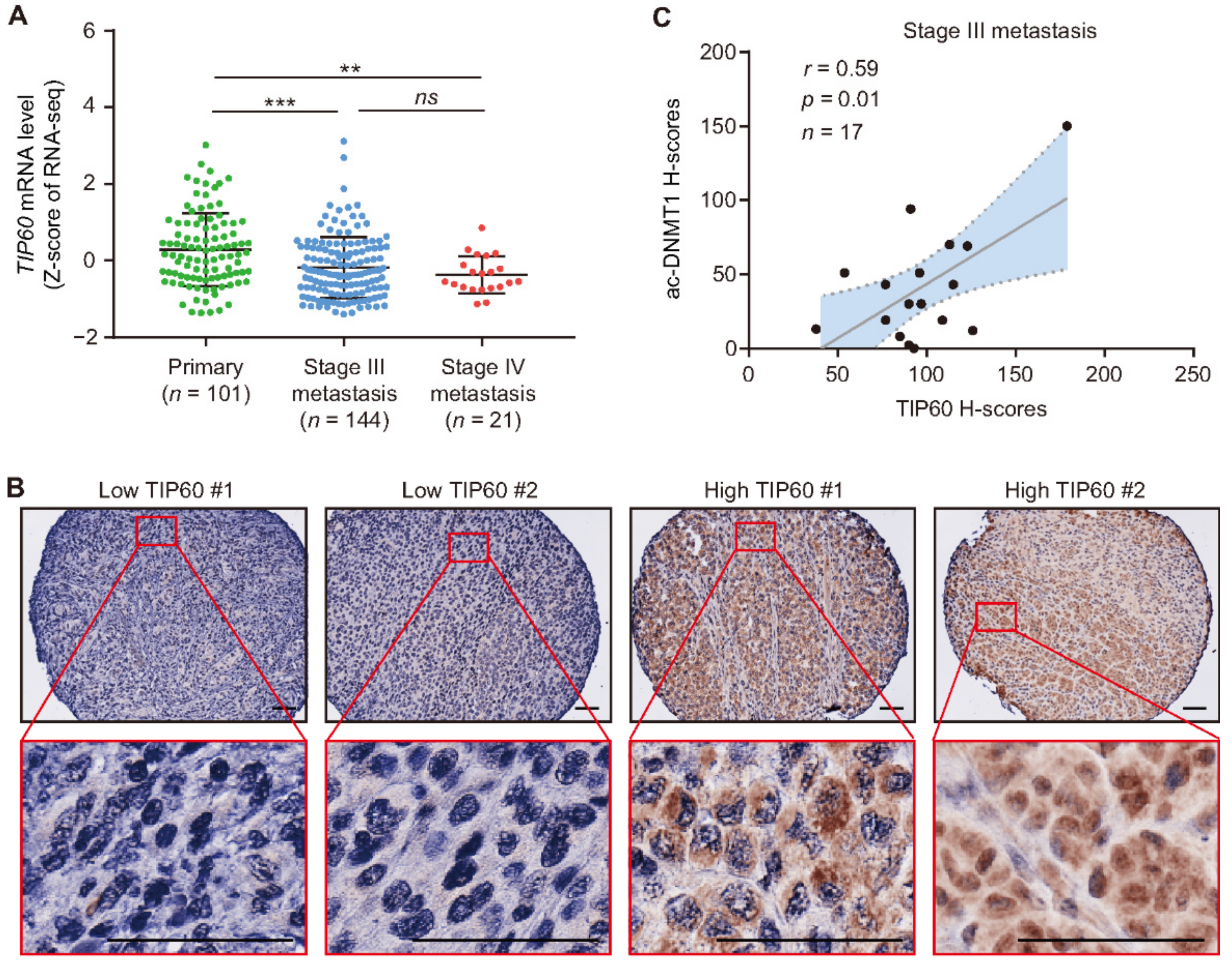 Cancers 13 04691 g004a