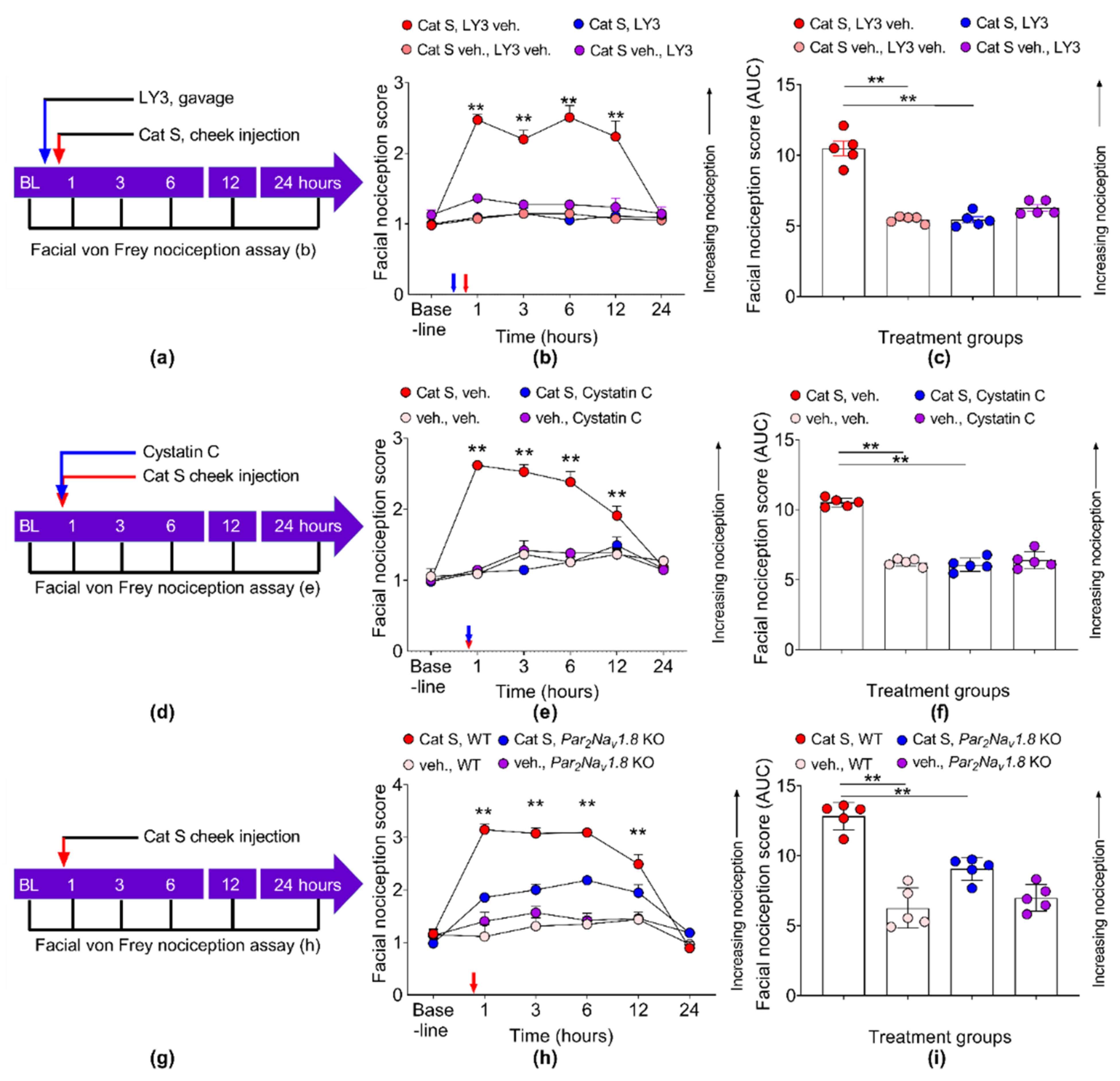 Cancers 13 04697 g008