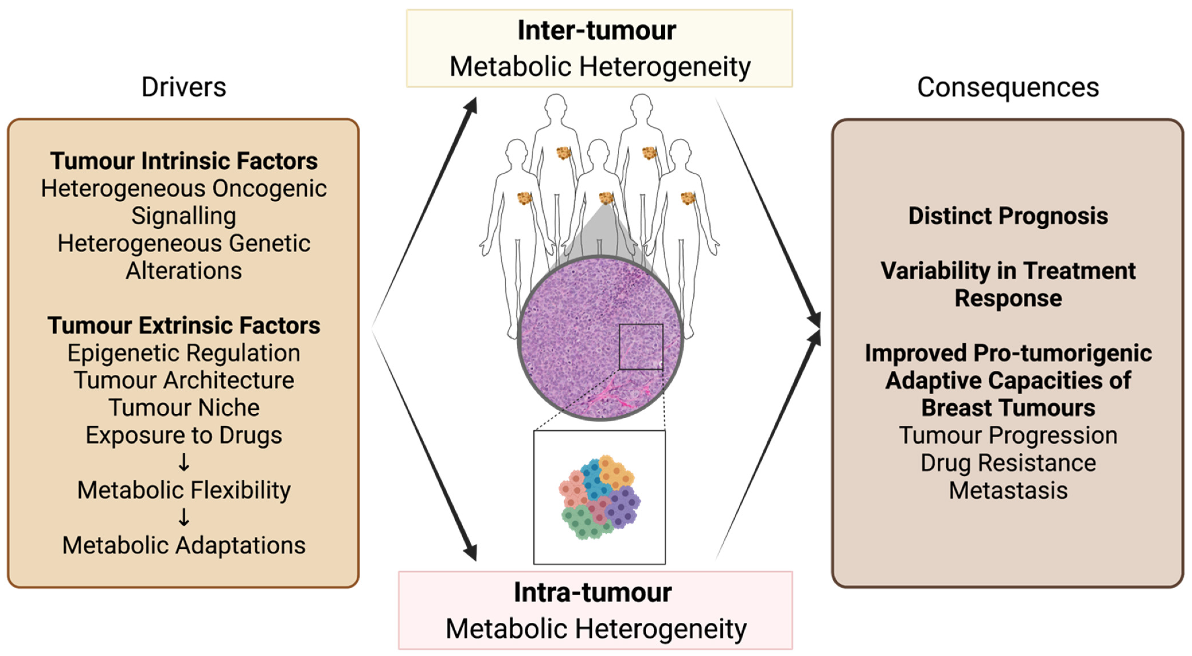 Cancers 13 04699 g001