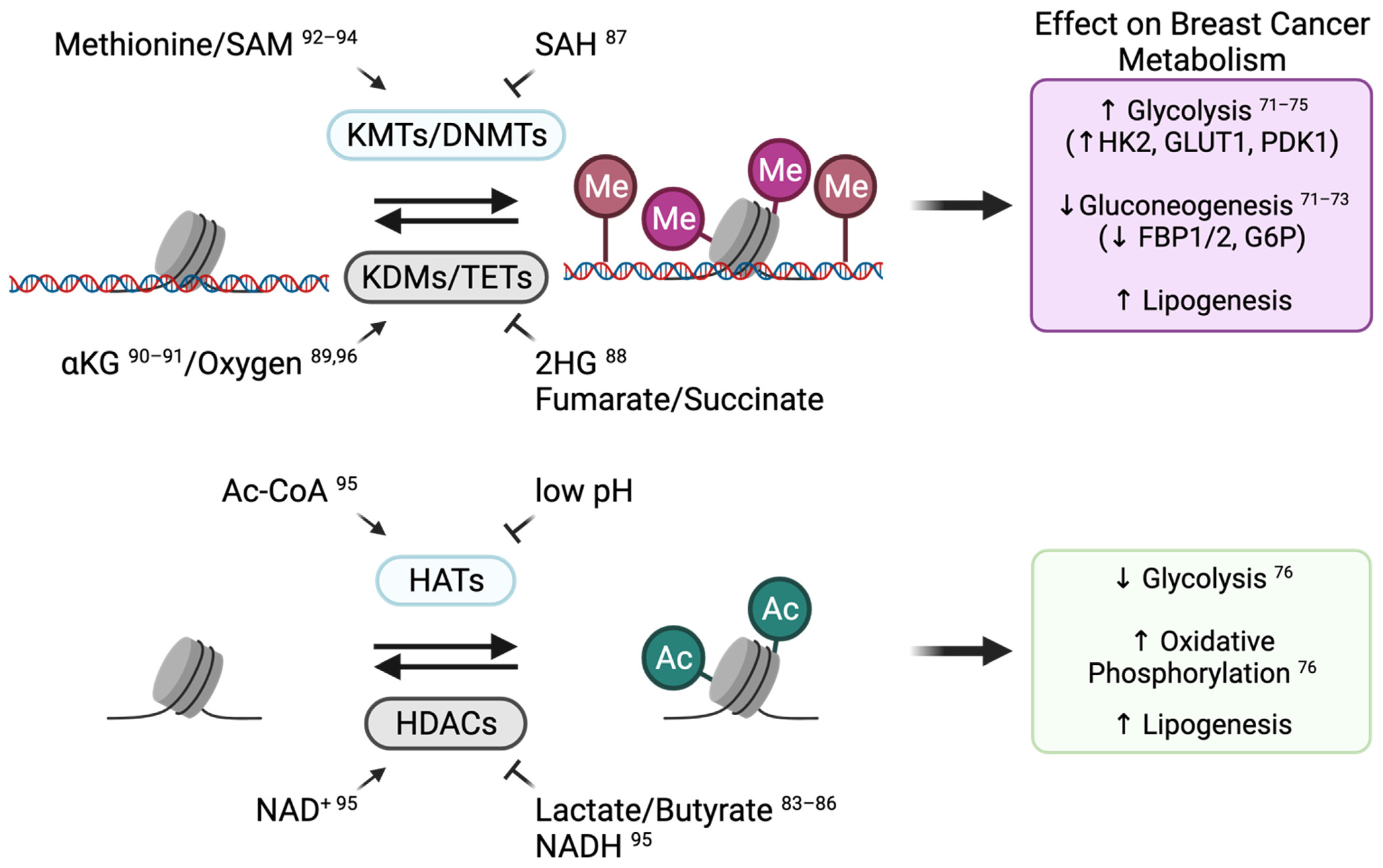 Cancers 13 04699 g003