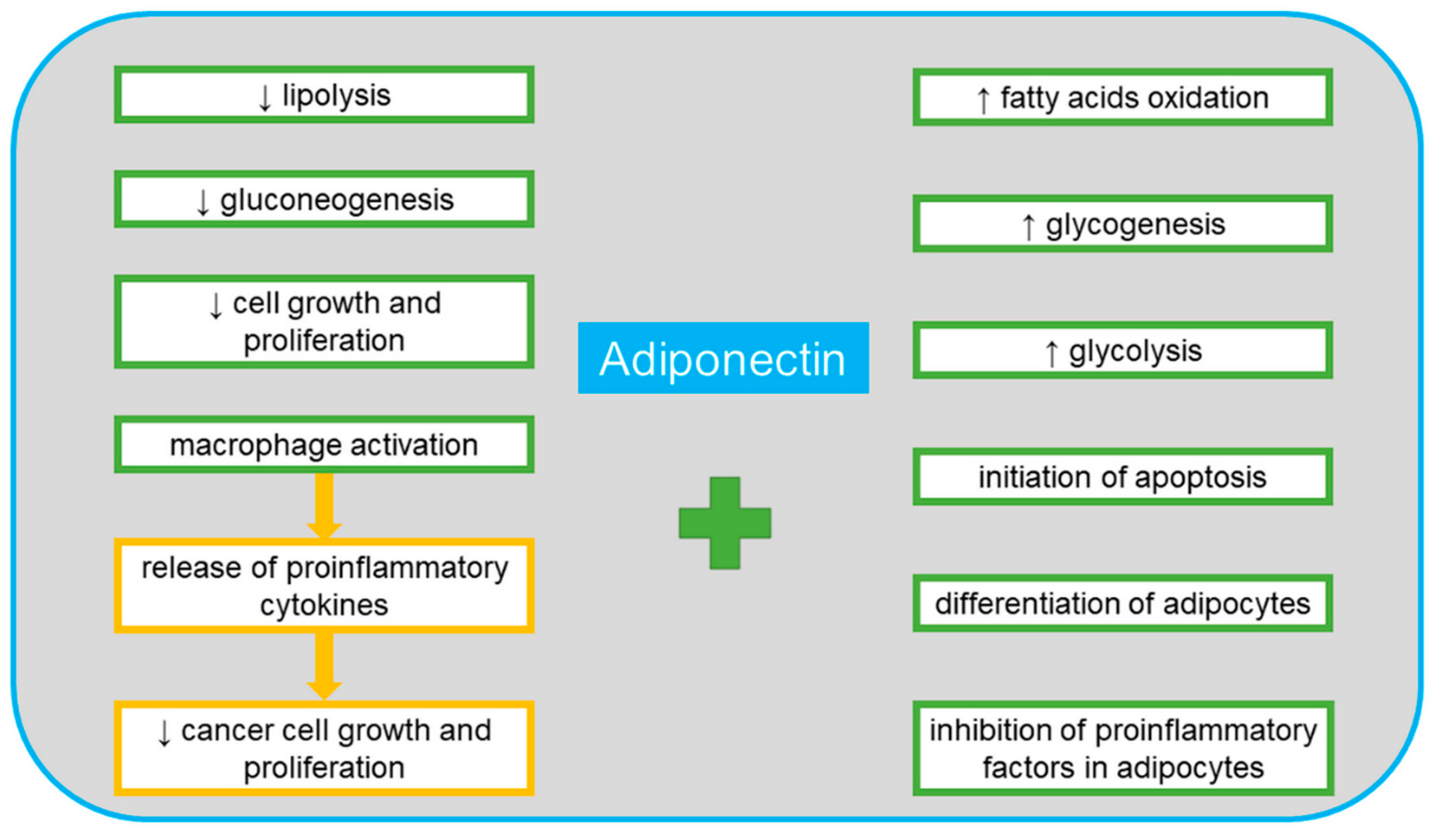 Cancers 13 04702 g002 Cancers 13 04702 g002
