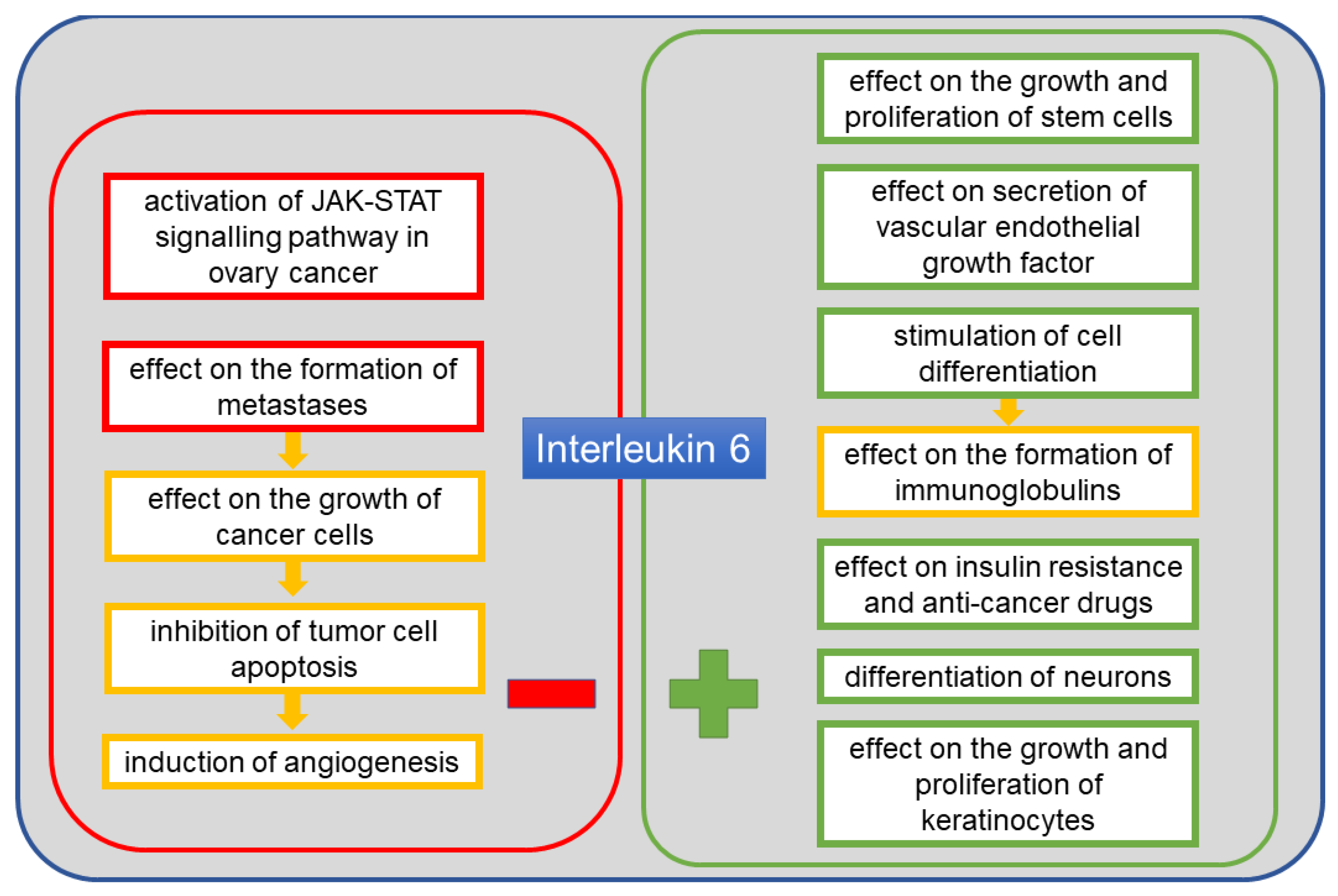Cancers 13 04702 g003 Cancers 13 04702 g003