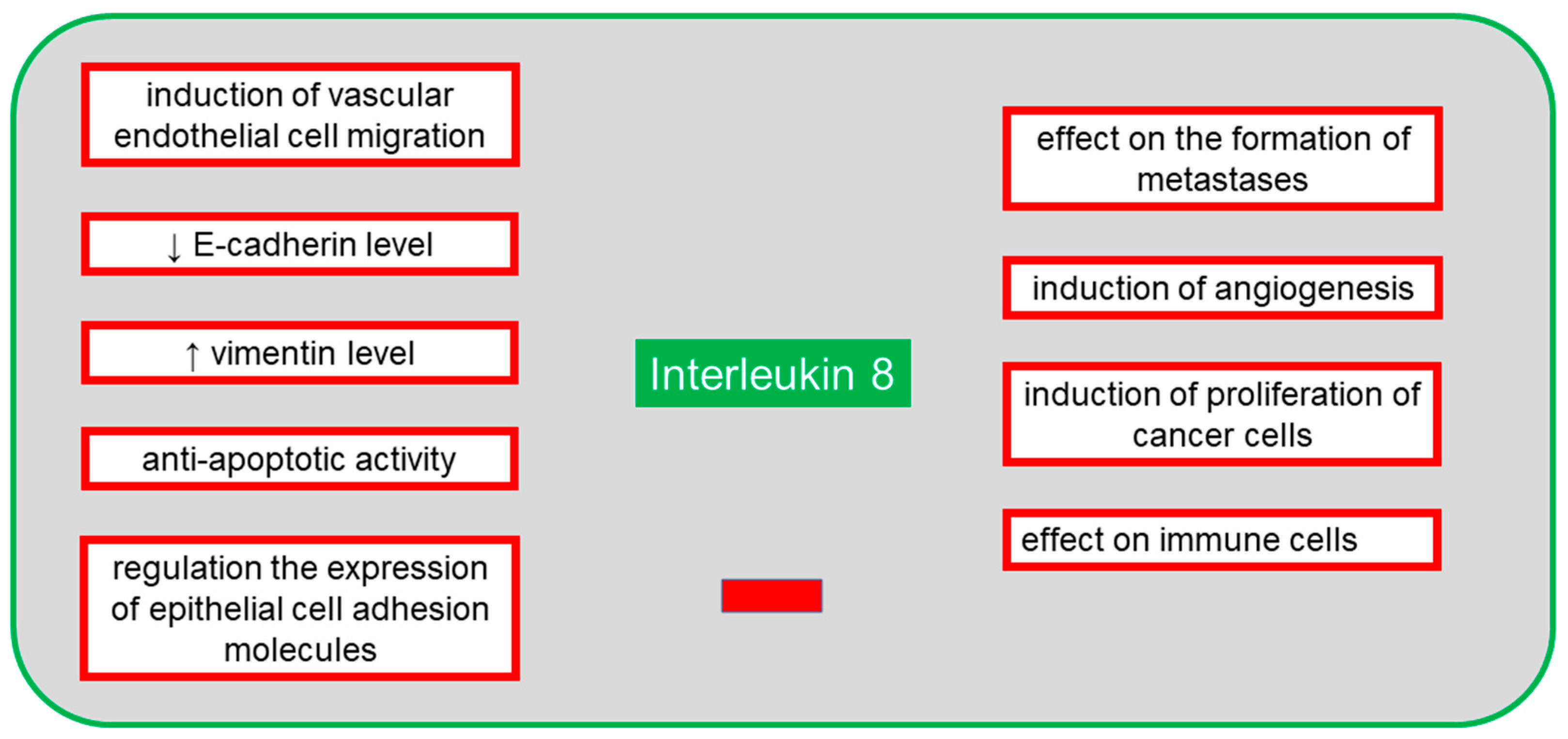Cancers 13 04702 g004 Cancers 13 04702 g004