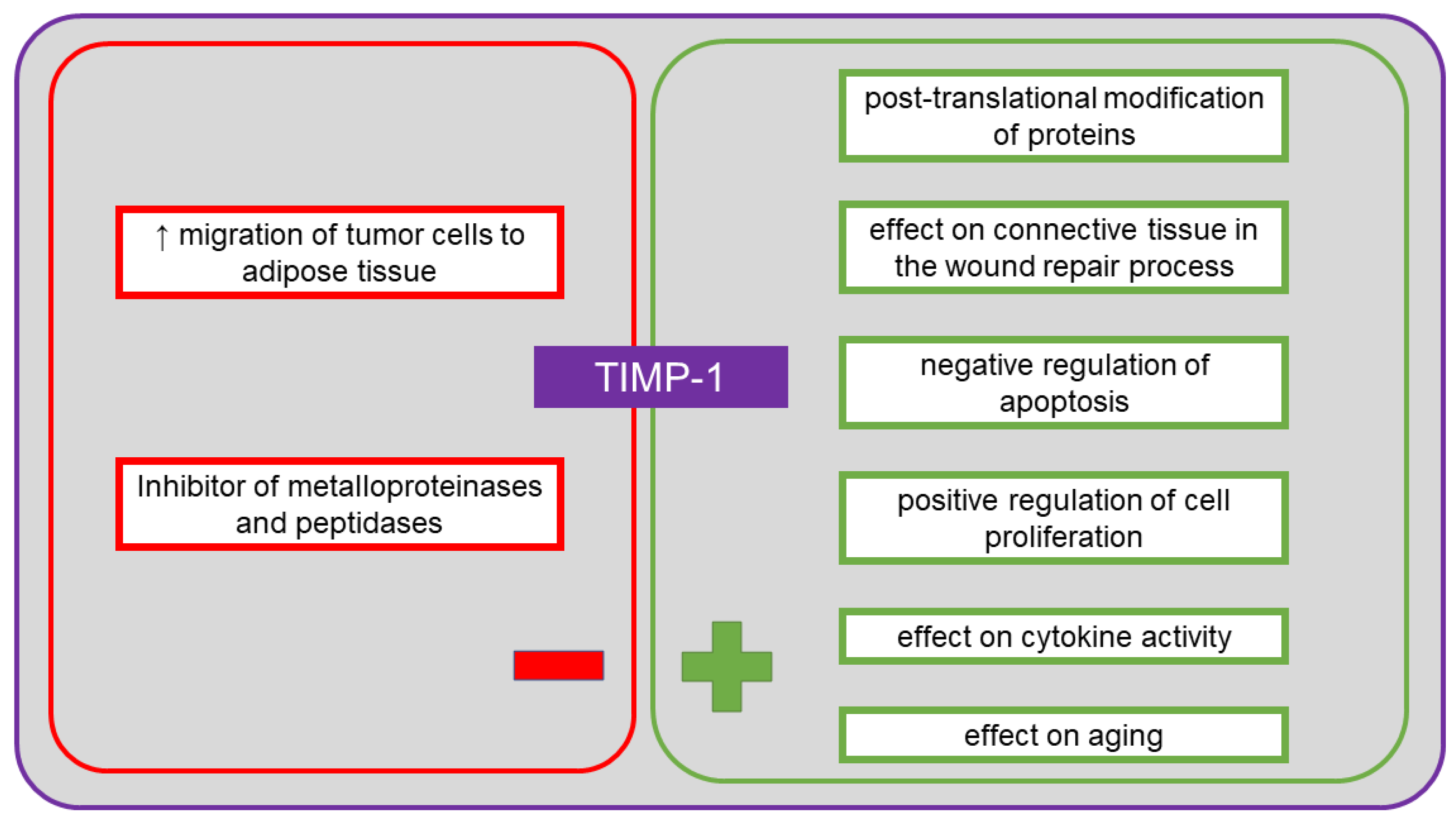 Cancers 13 04702 g006 Cancers 13 04702 g006