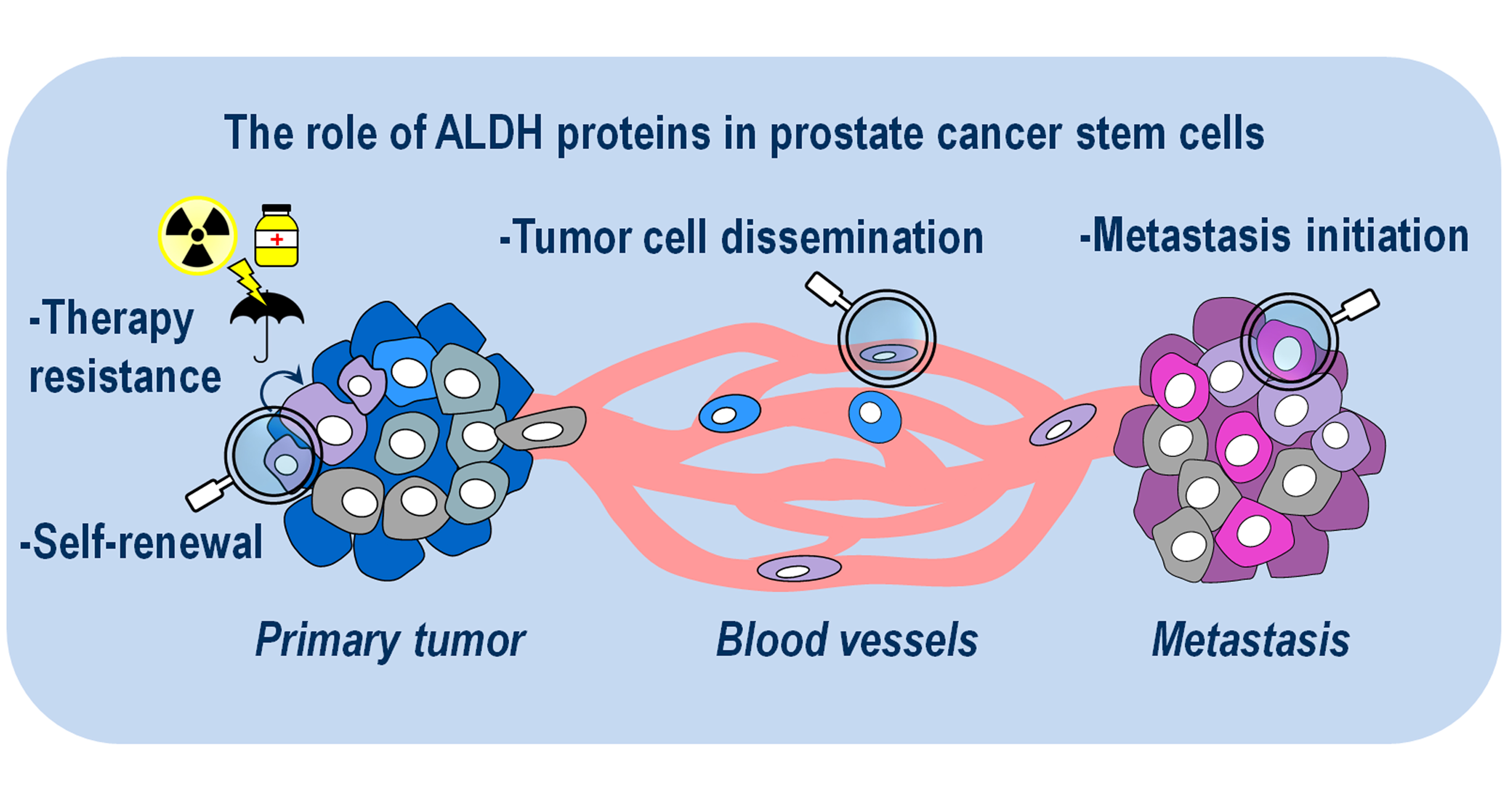 forum cancer prostate métastasé