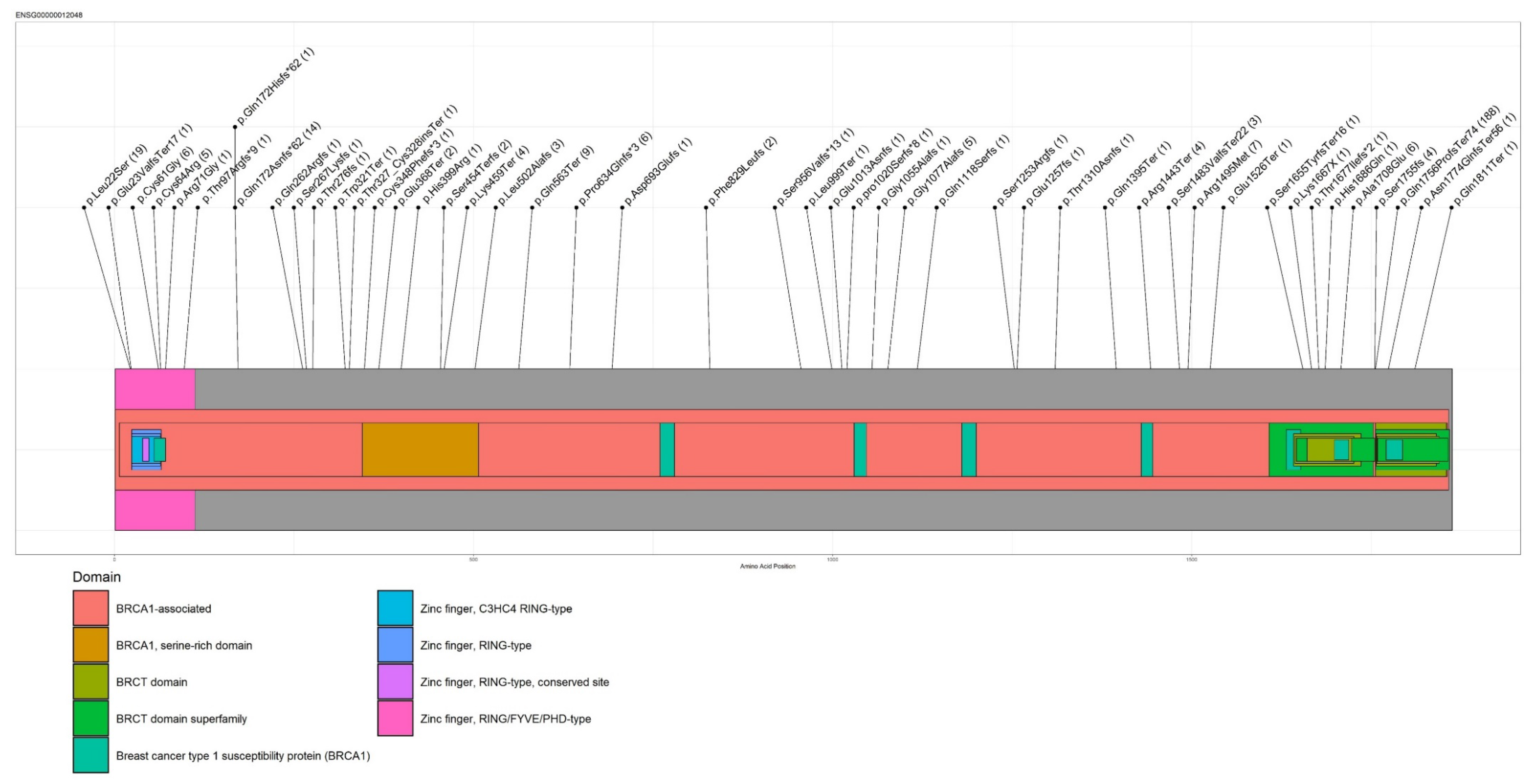Cancers 13 04714 g001 Cancers 13 04714 g001