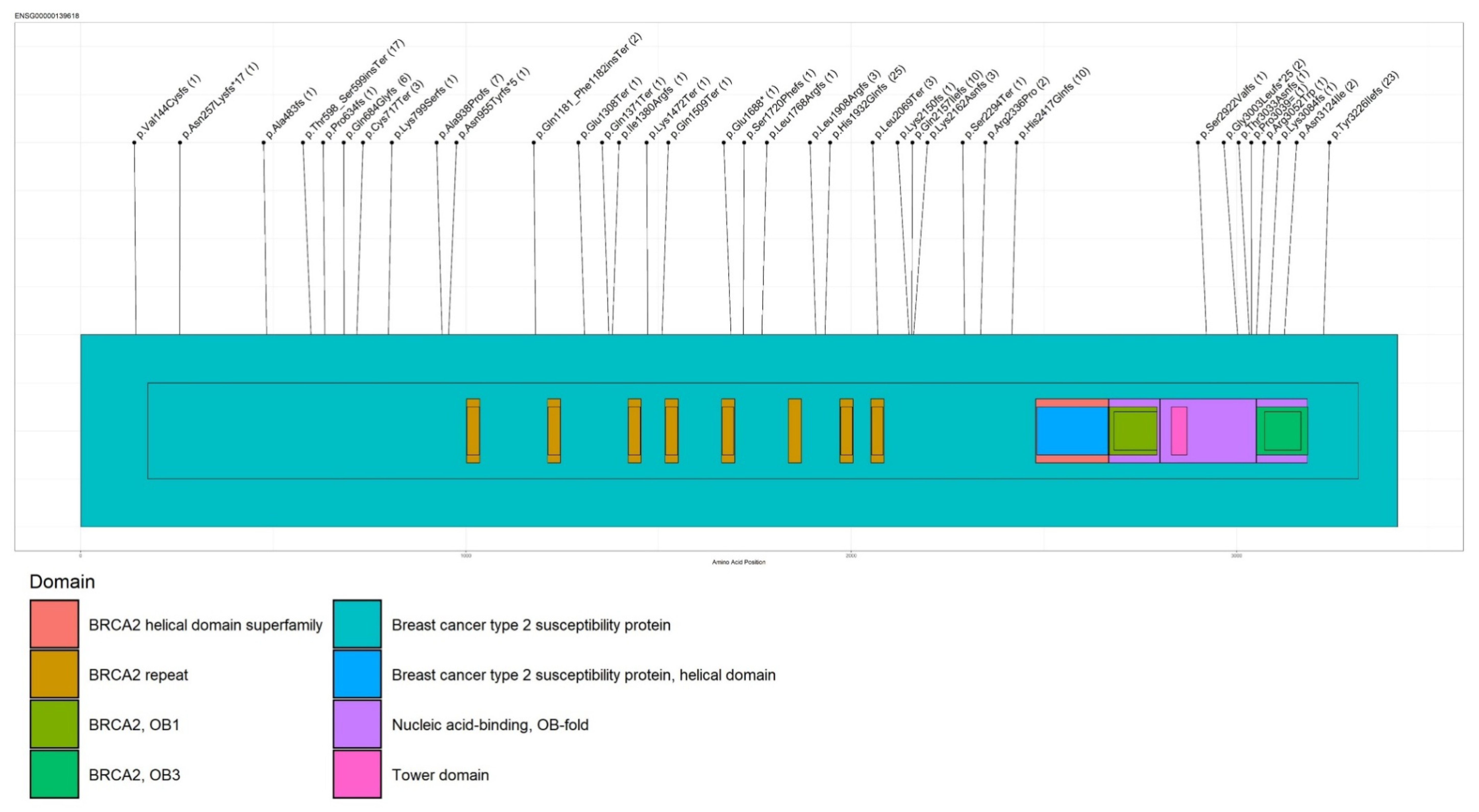 Cancers 13 04714 g002 Cancers 13 04714 g002
