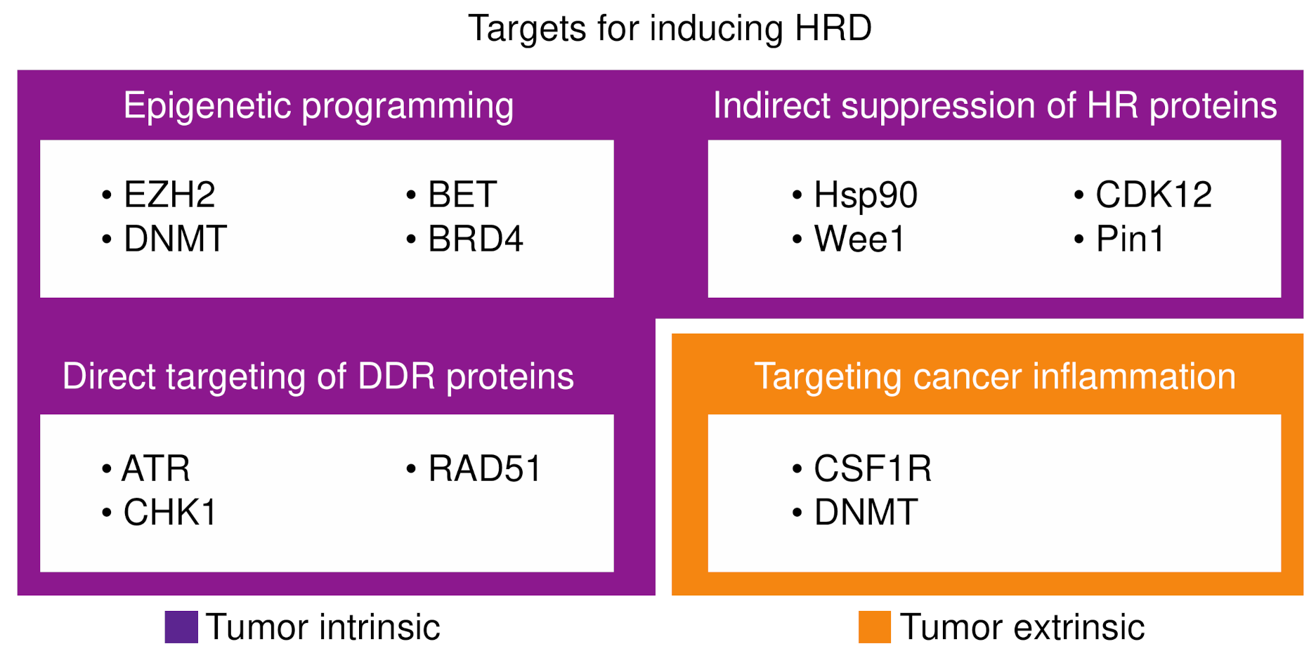 Cancers 13 04716 g002