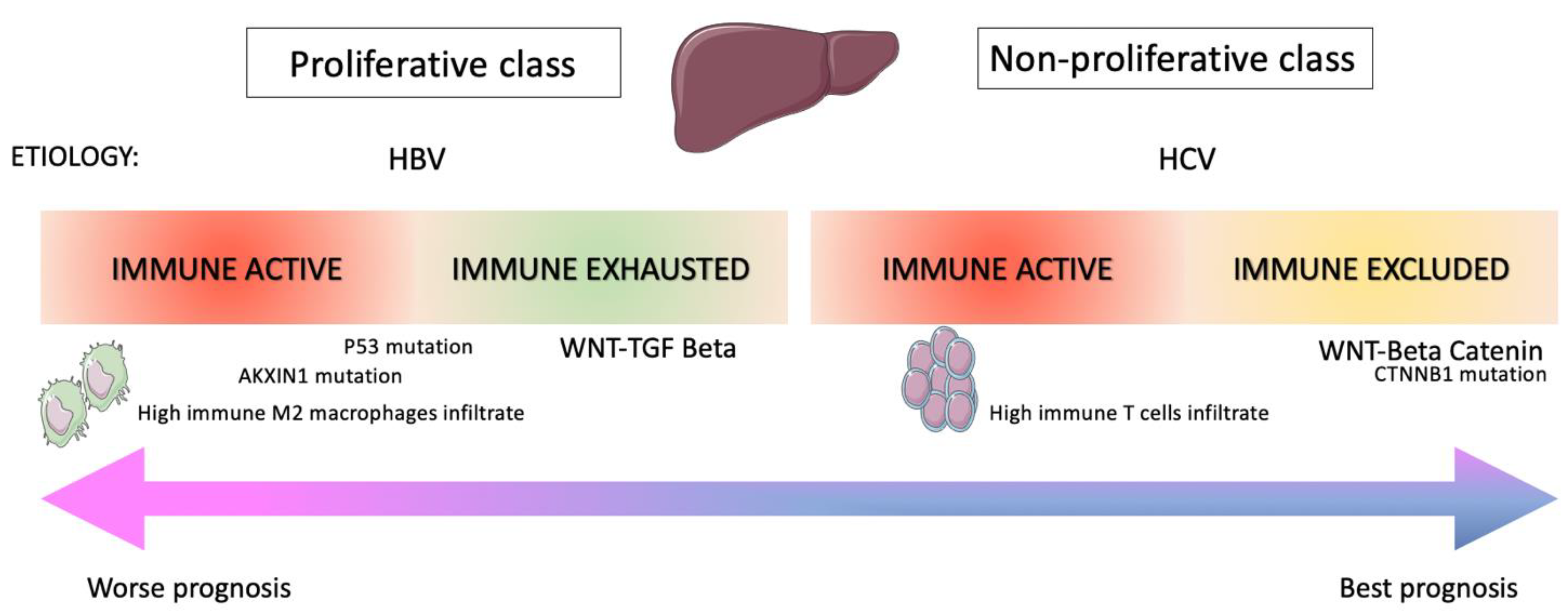 Cancers 13 04719 g002 Cancers 13 04719 g002