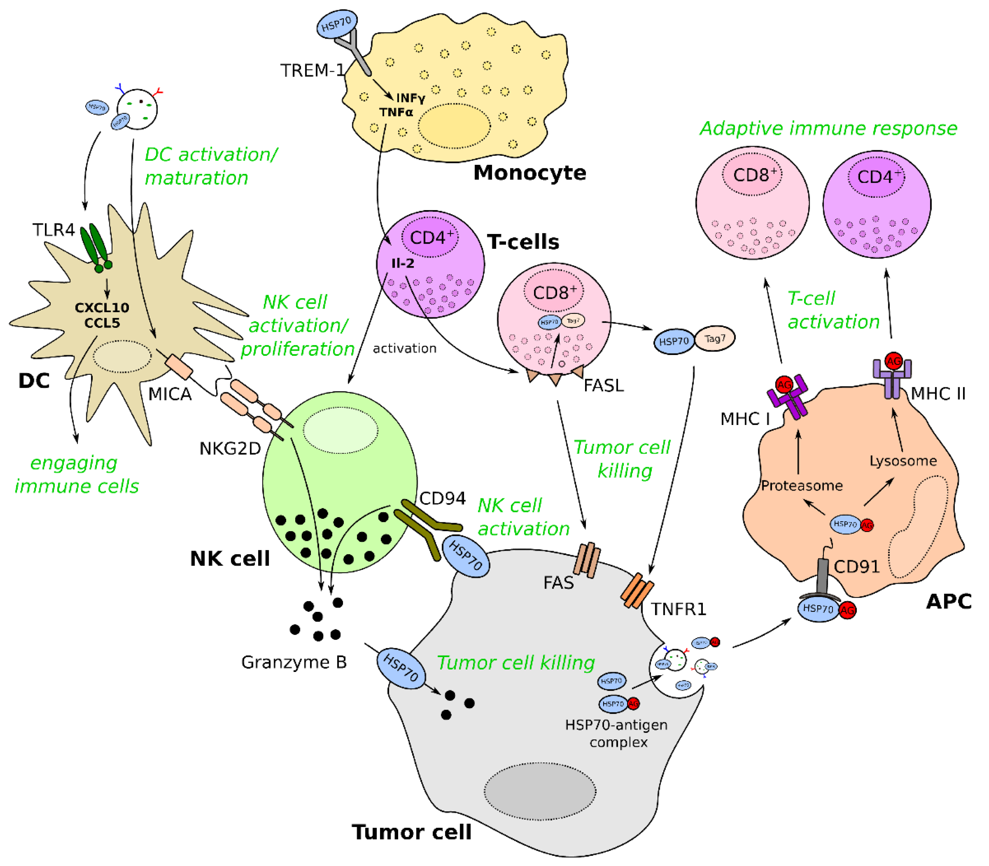 Cancers 13 04721 g003 Cancers 13 04721 g003