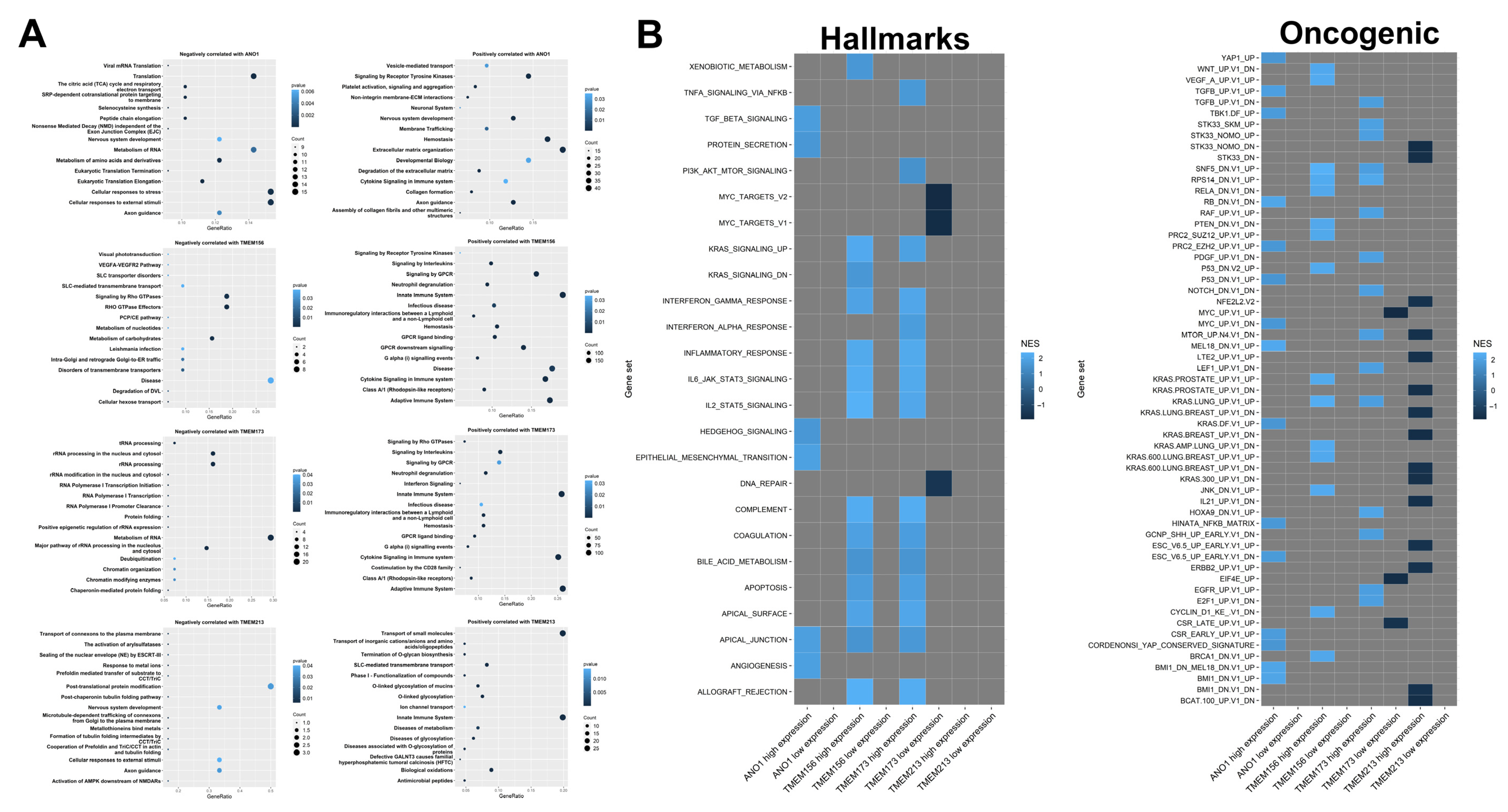 Cancers 13 04737 g005 550
