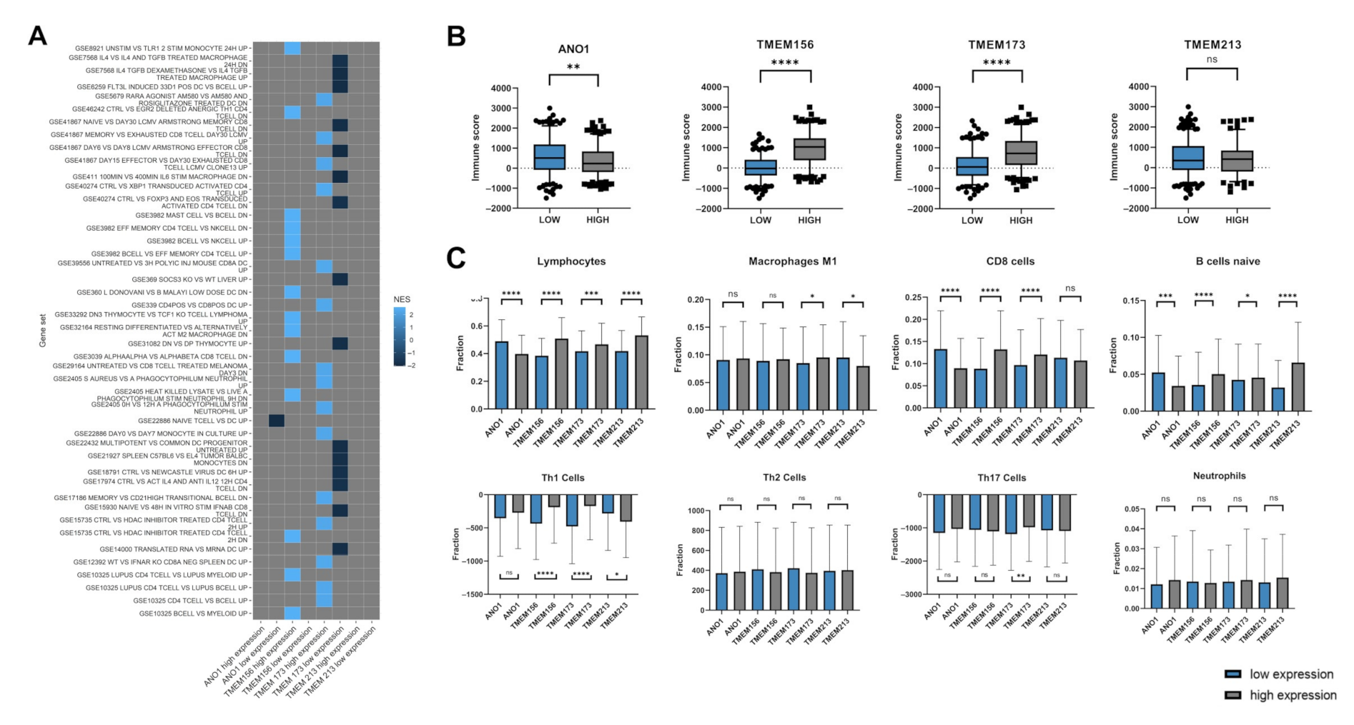 Cancers 13 04737 g006 550