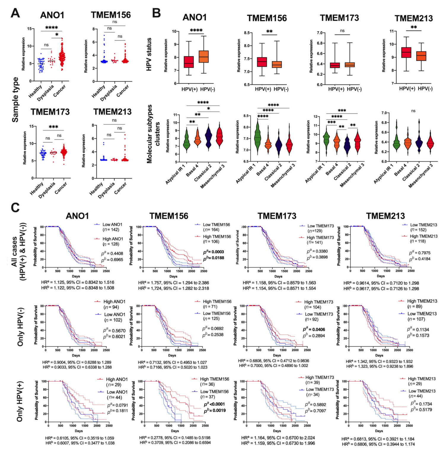 Cancers 13 04737 g007 550