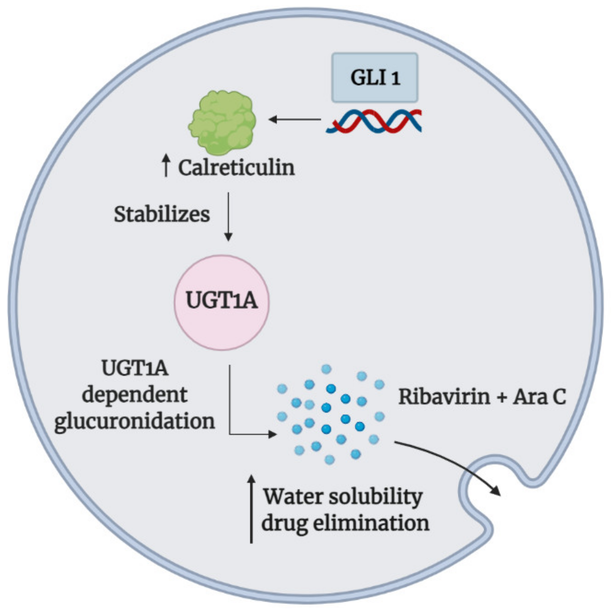 Cancers 13 04746 g003 Cancers 13 04746 g003