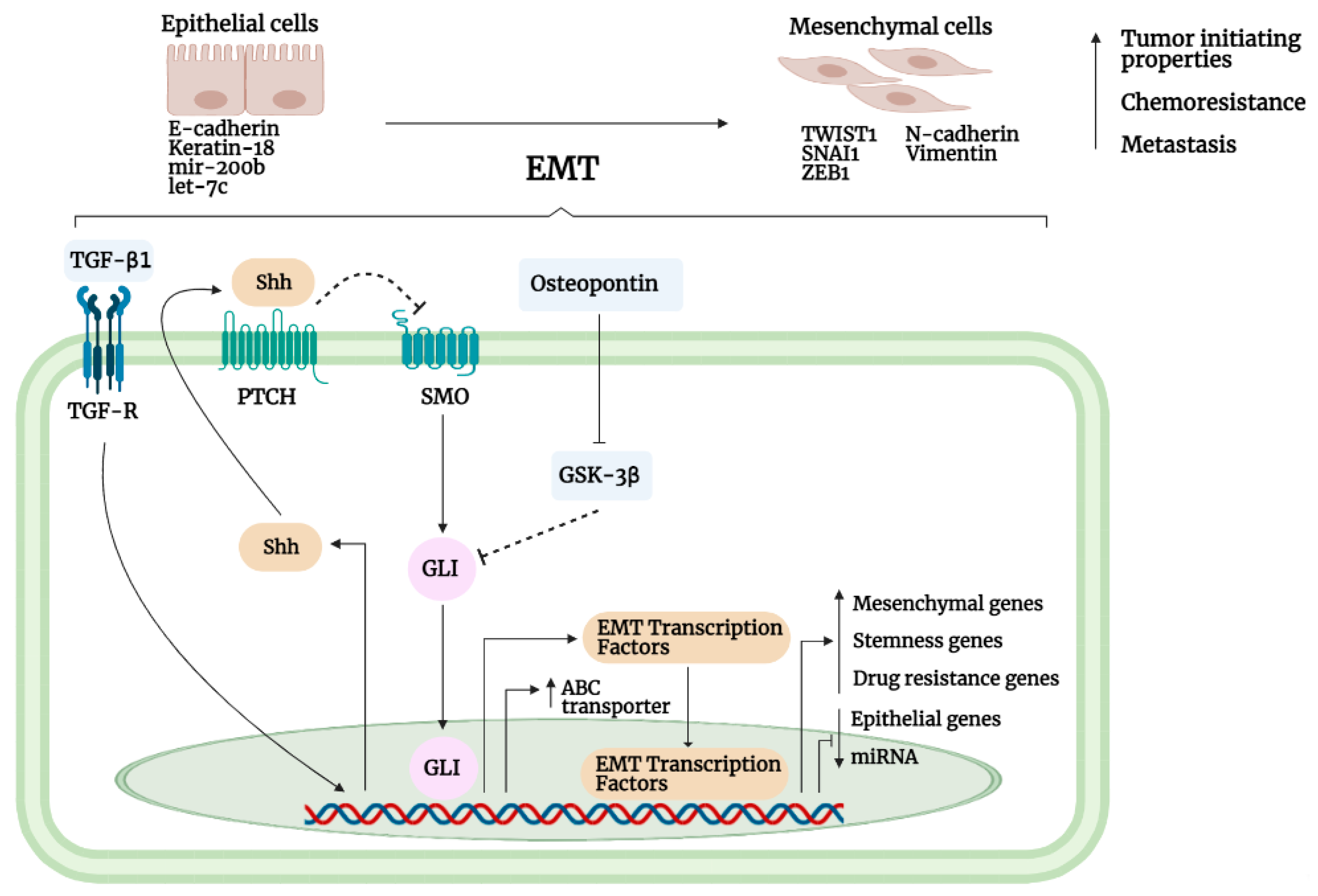 Cancers 13 04746 g005 Cancers 13 04746 g005