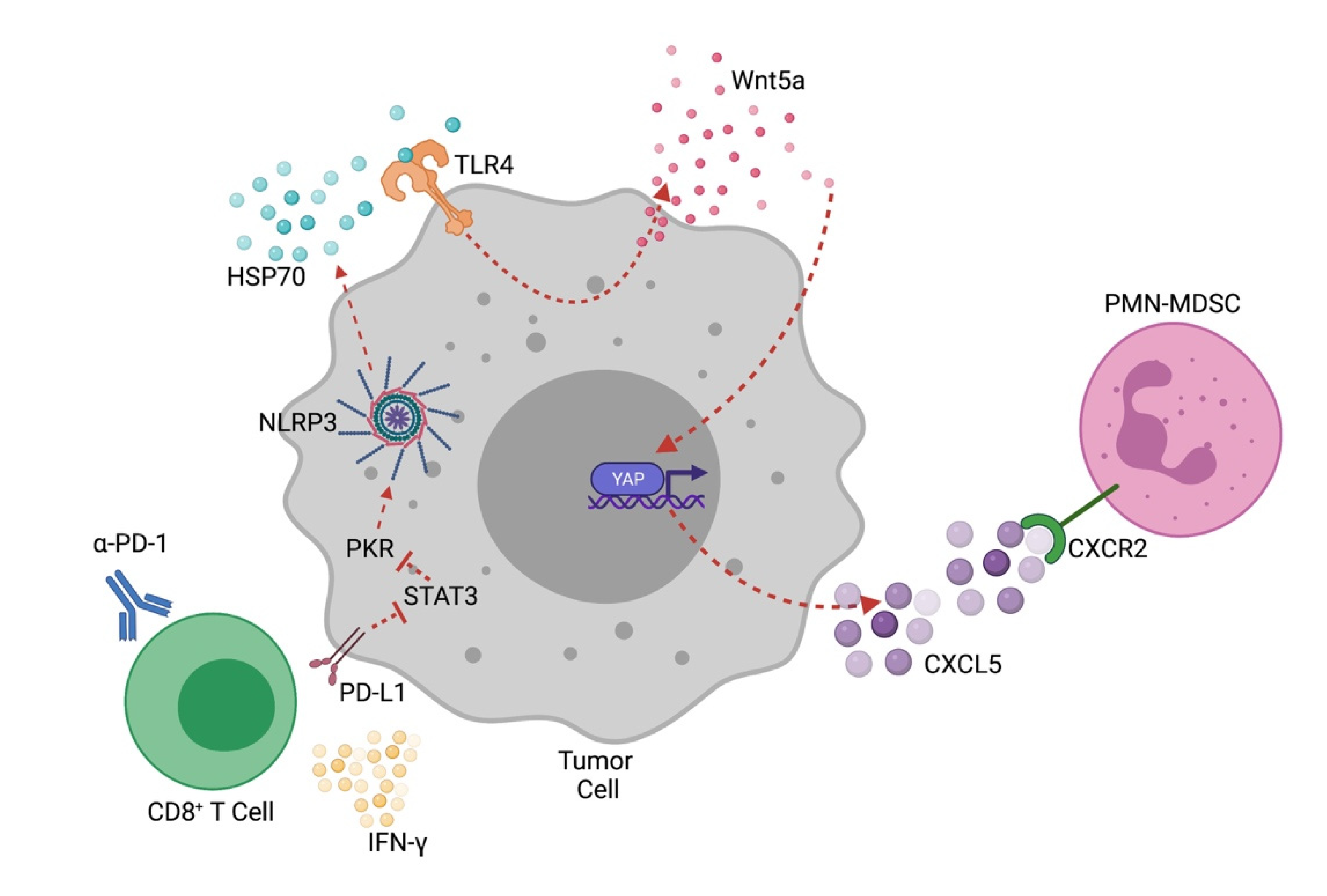 Cancers 13 04753 g001