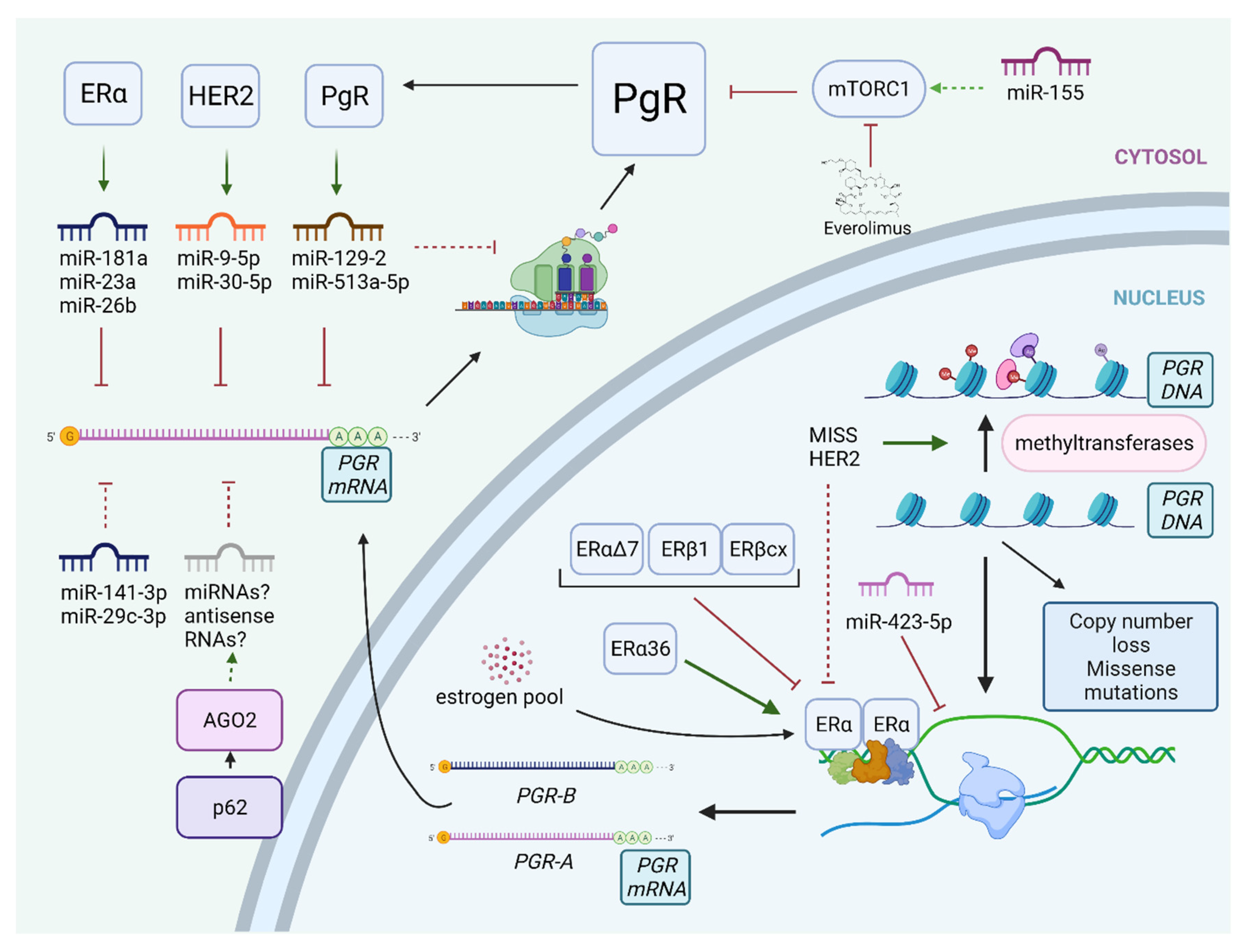 Cancers 13 04755 g002 550