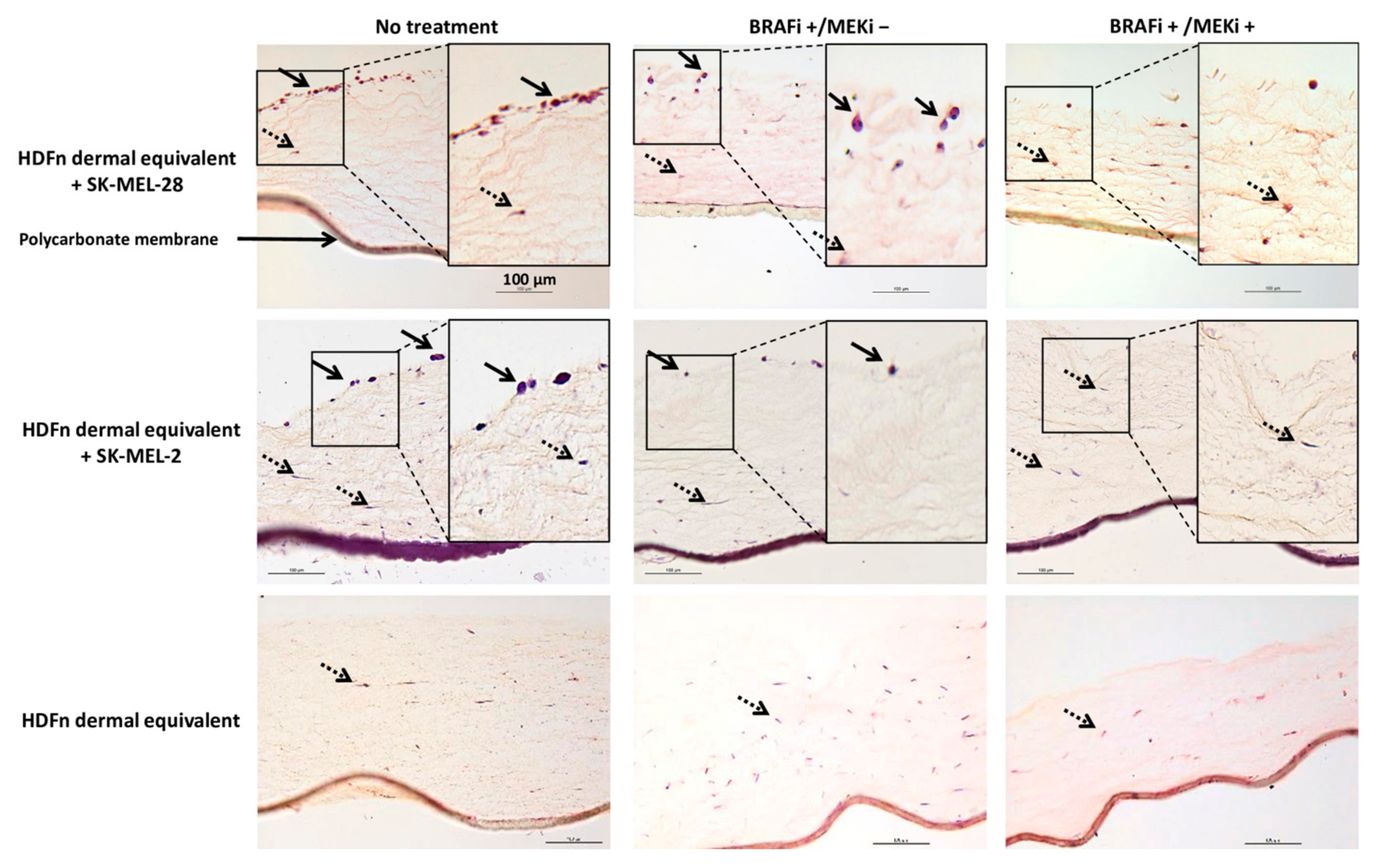 Cancers 13 04761 g002 550