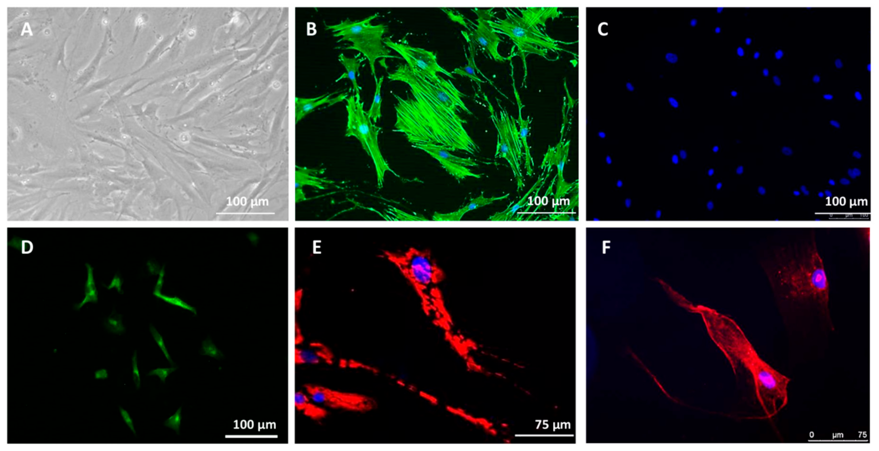 Cancers 13 04761 g0a1 550