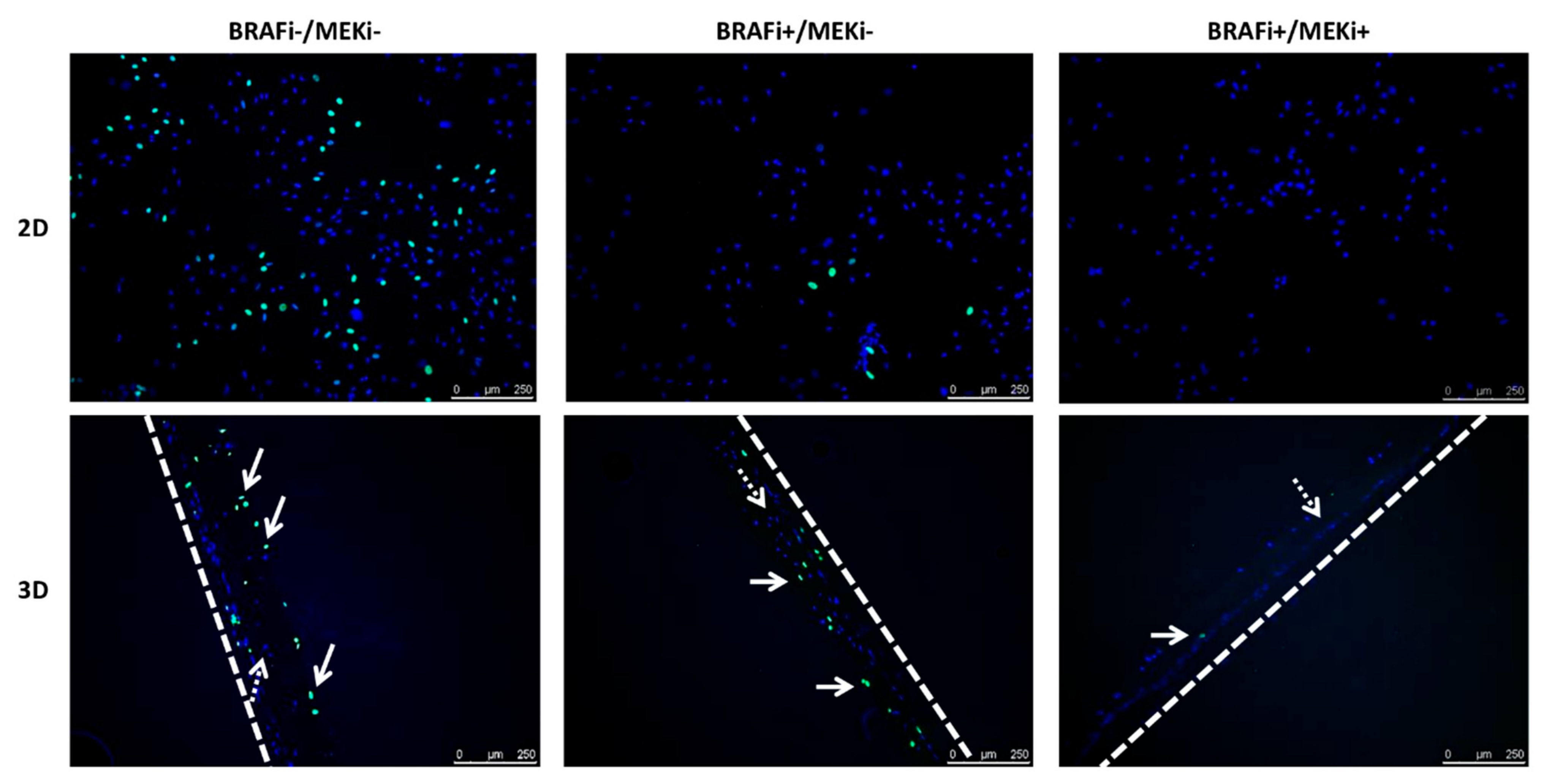 Cancers 13 04761 g0a3 550