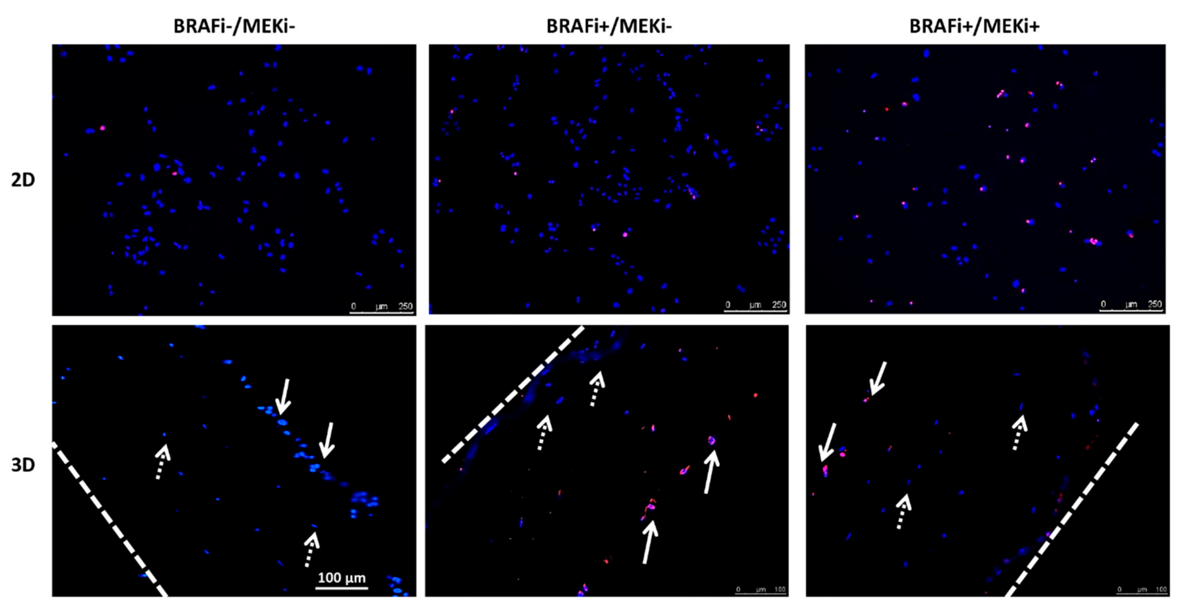 Cancers 13 04761 g0a4 550