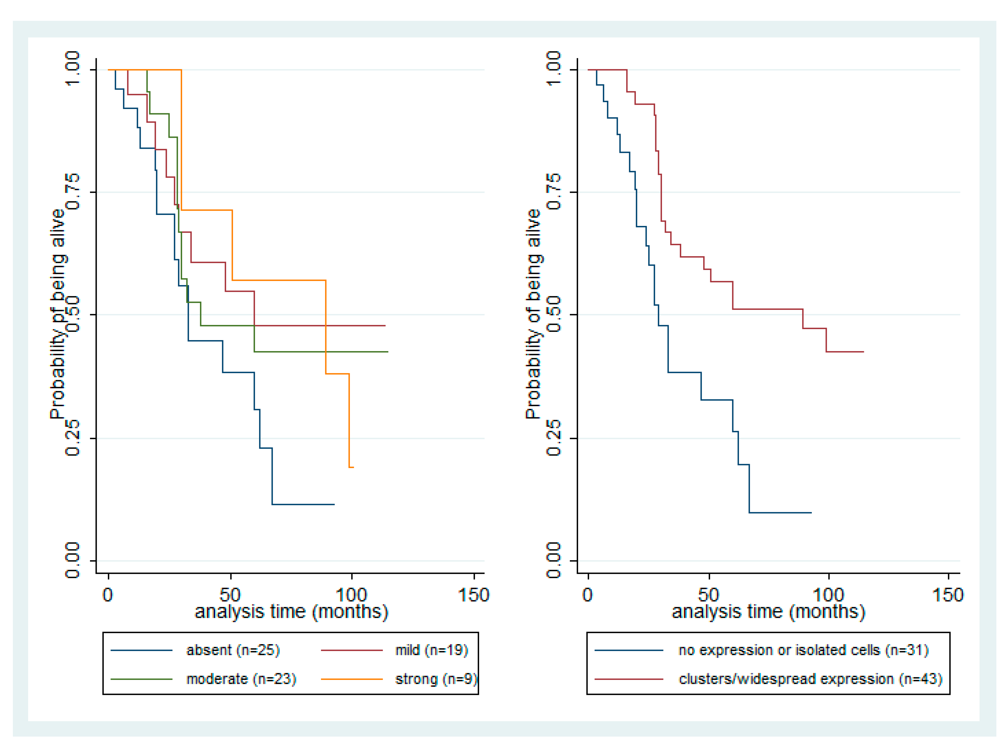 Cancers 13 04763 g004 550