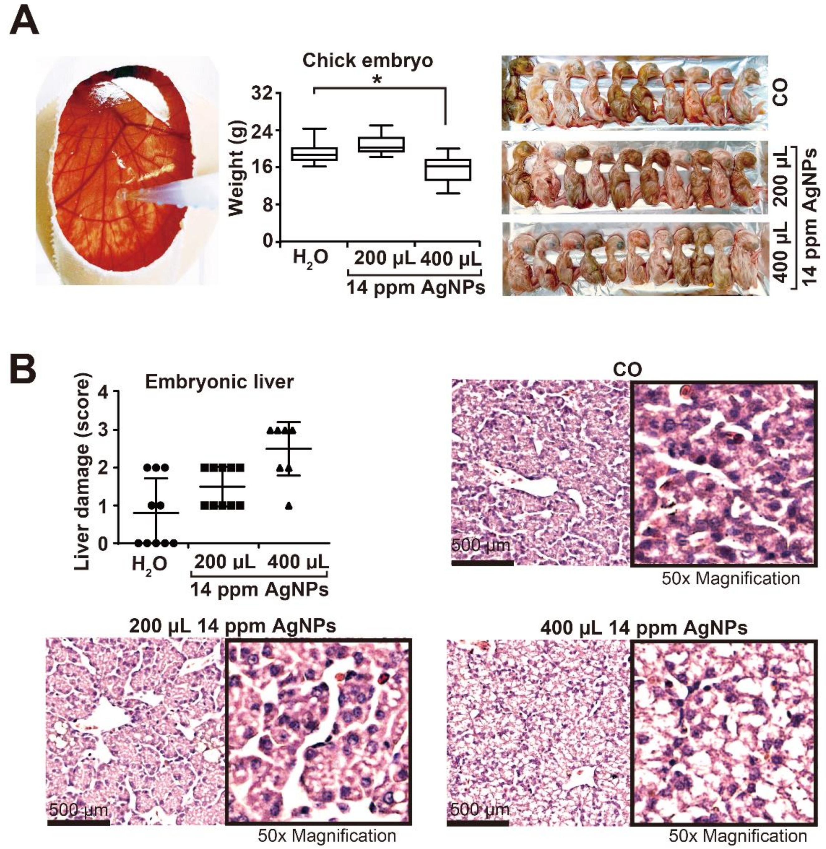 Cancers 13 04770 g002
