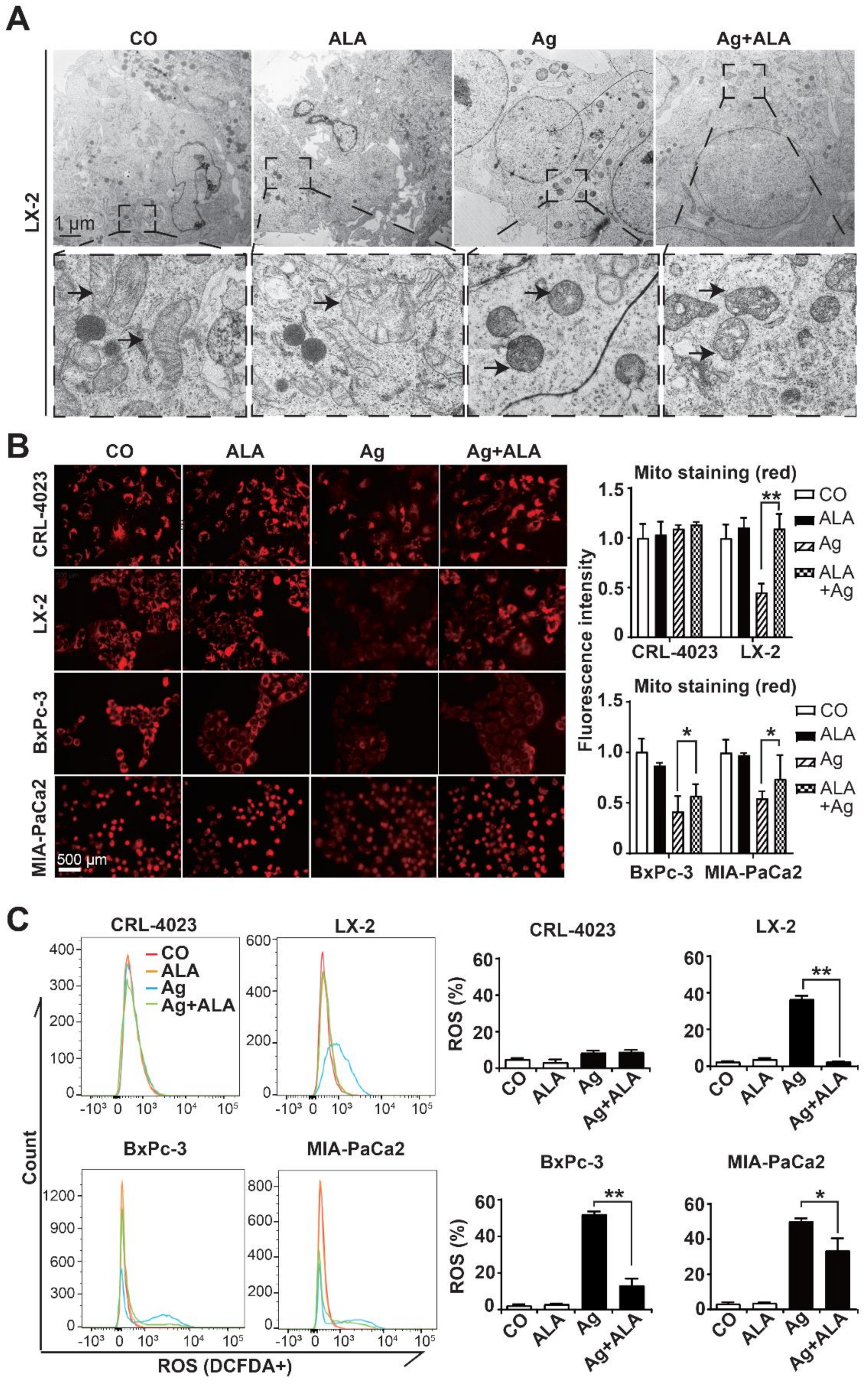 Cancers 13 04770 g004