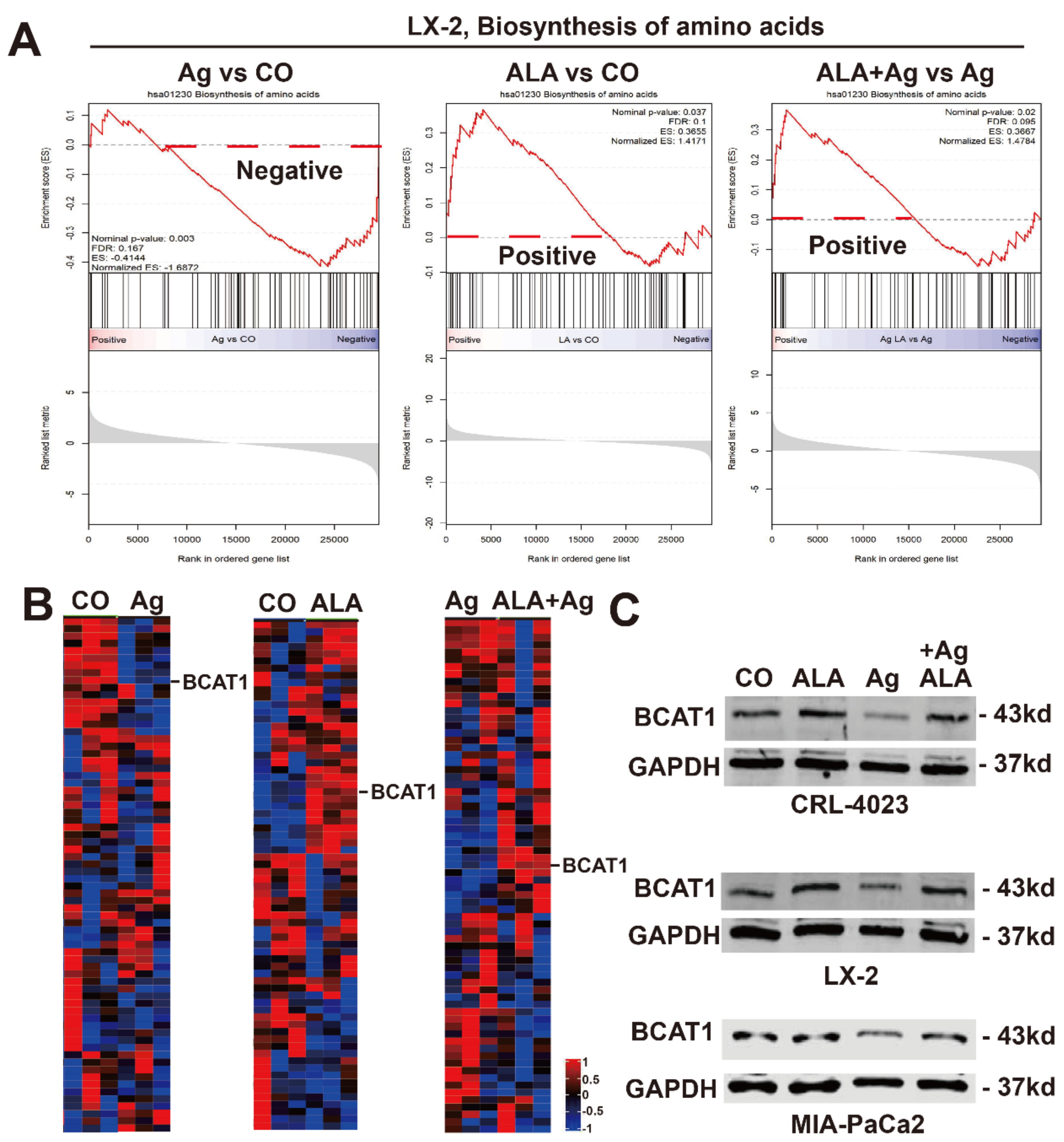 Cancers 13 04770 g008