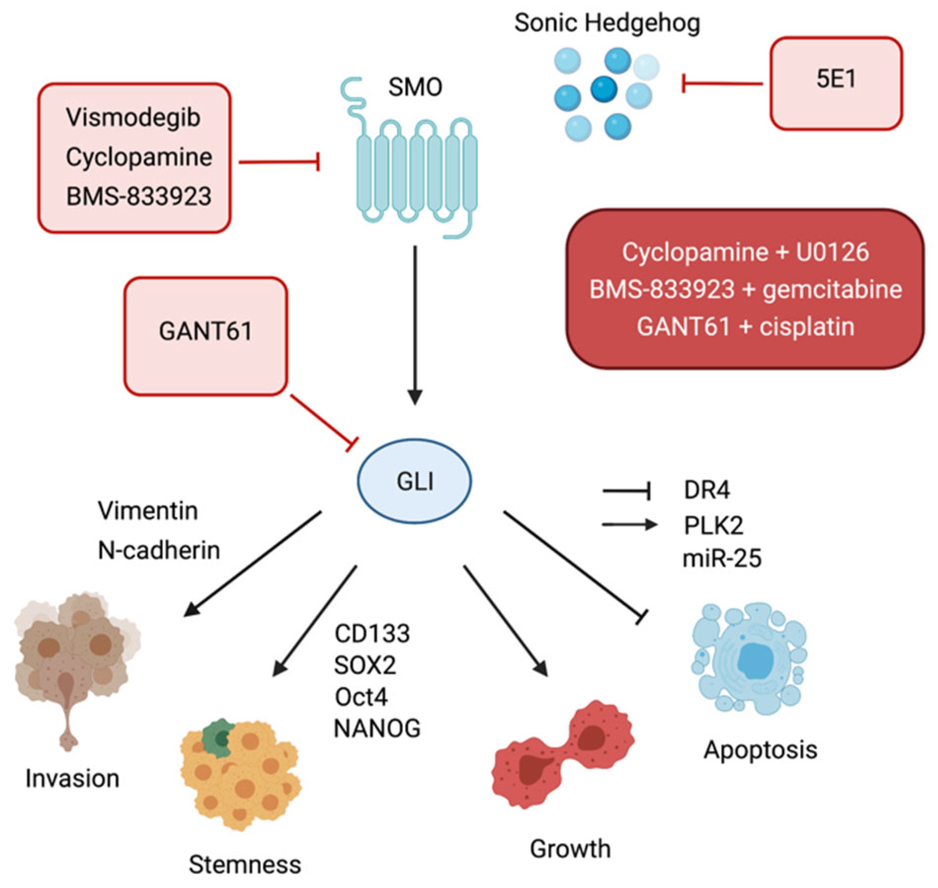 Cancers 13 04774 g002 Cancers 13 04774 g002