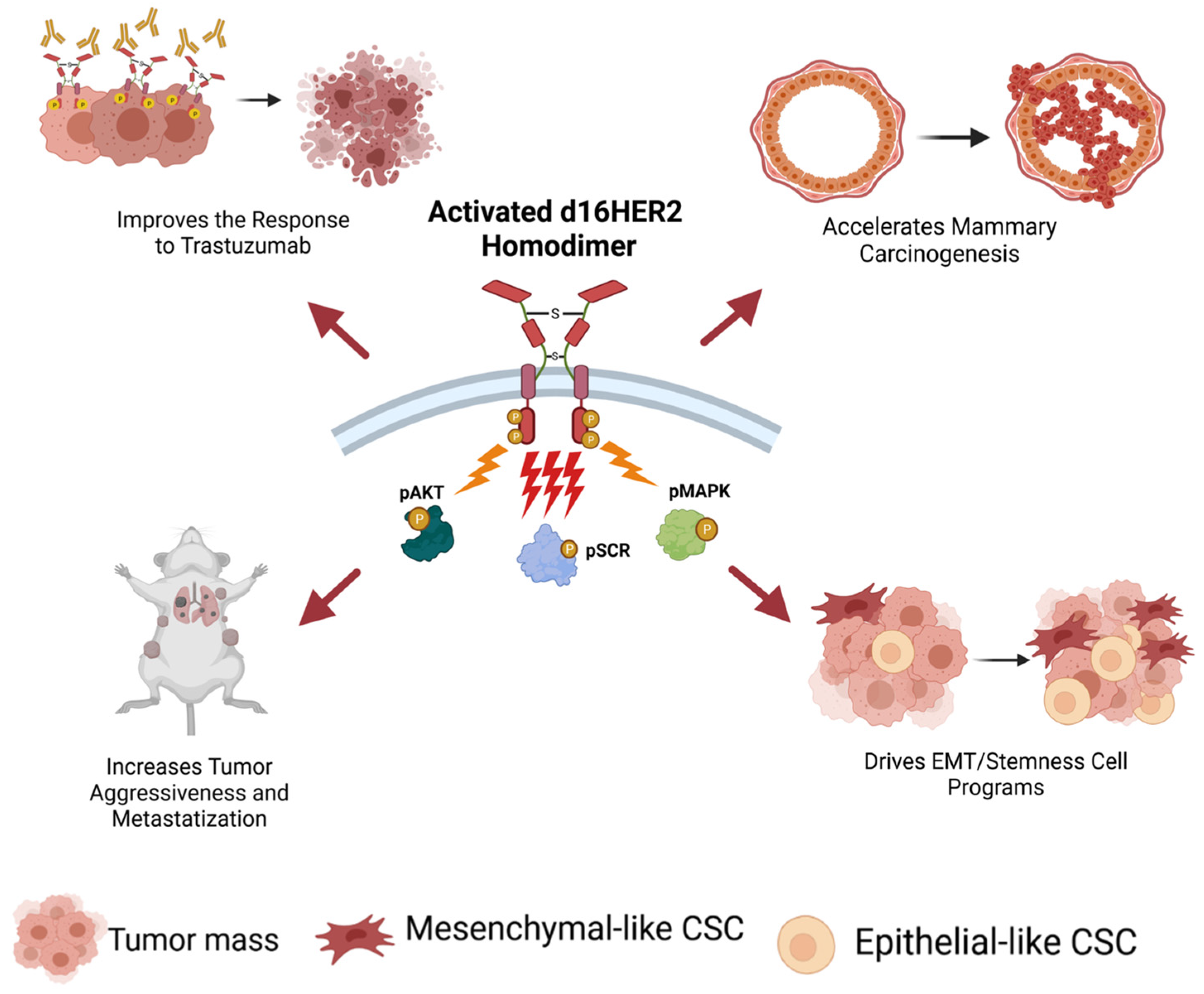Cancers 13 04778 g003 550