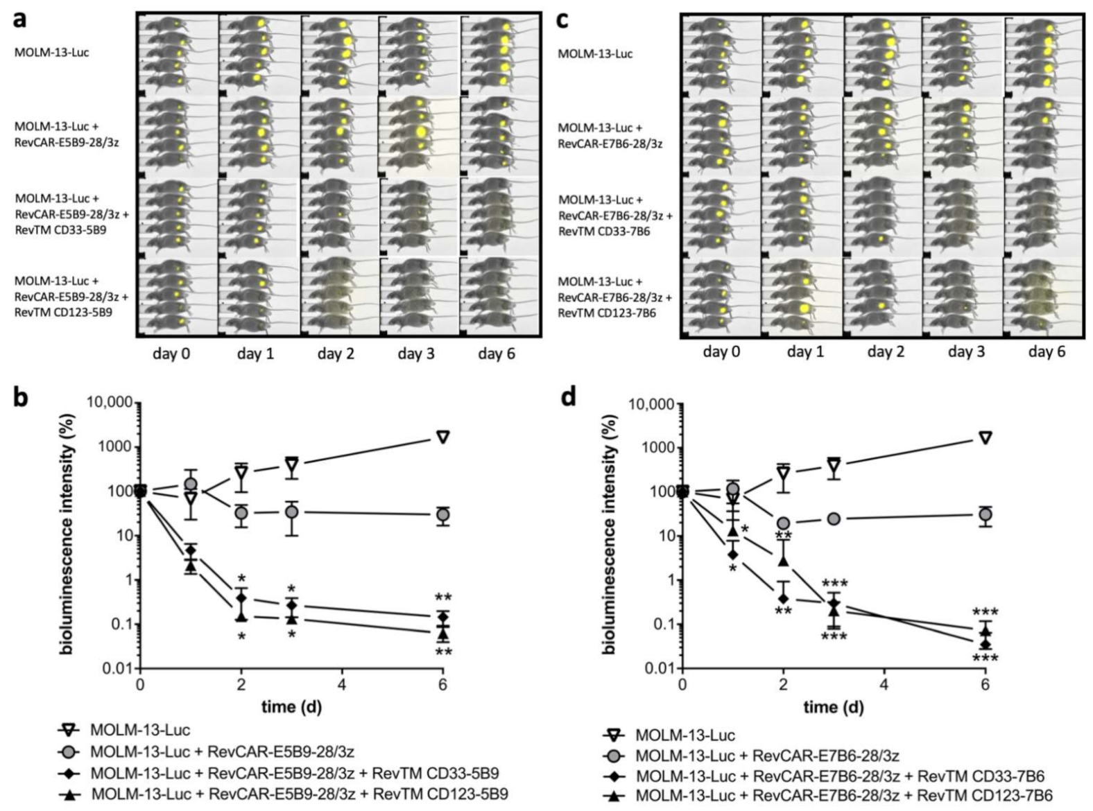 Cancers 13 04785 g005