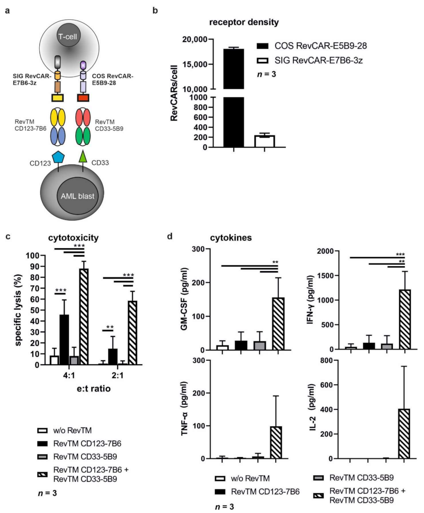 Cancers 13 04785 g007