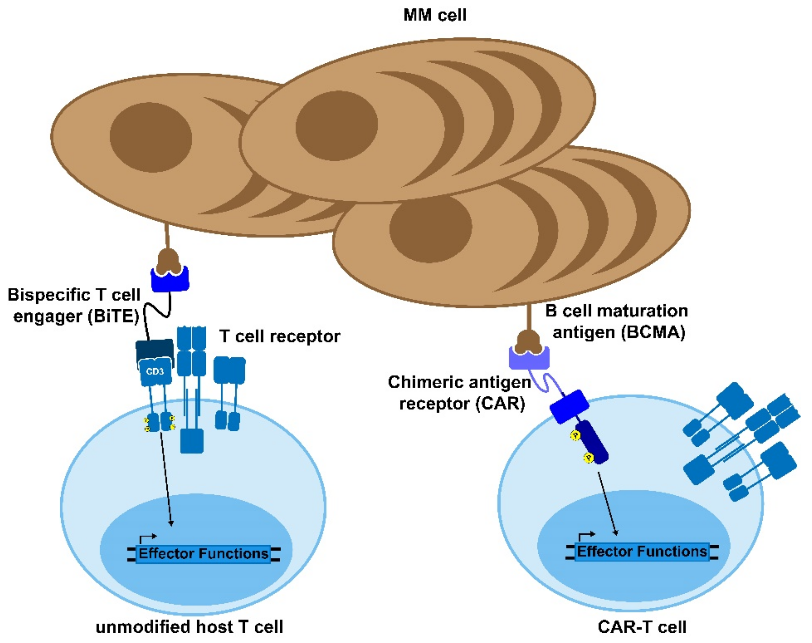 Cancers 13 04787 g002 Cancers 13 04787 g002