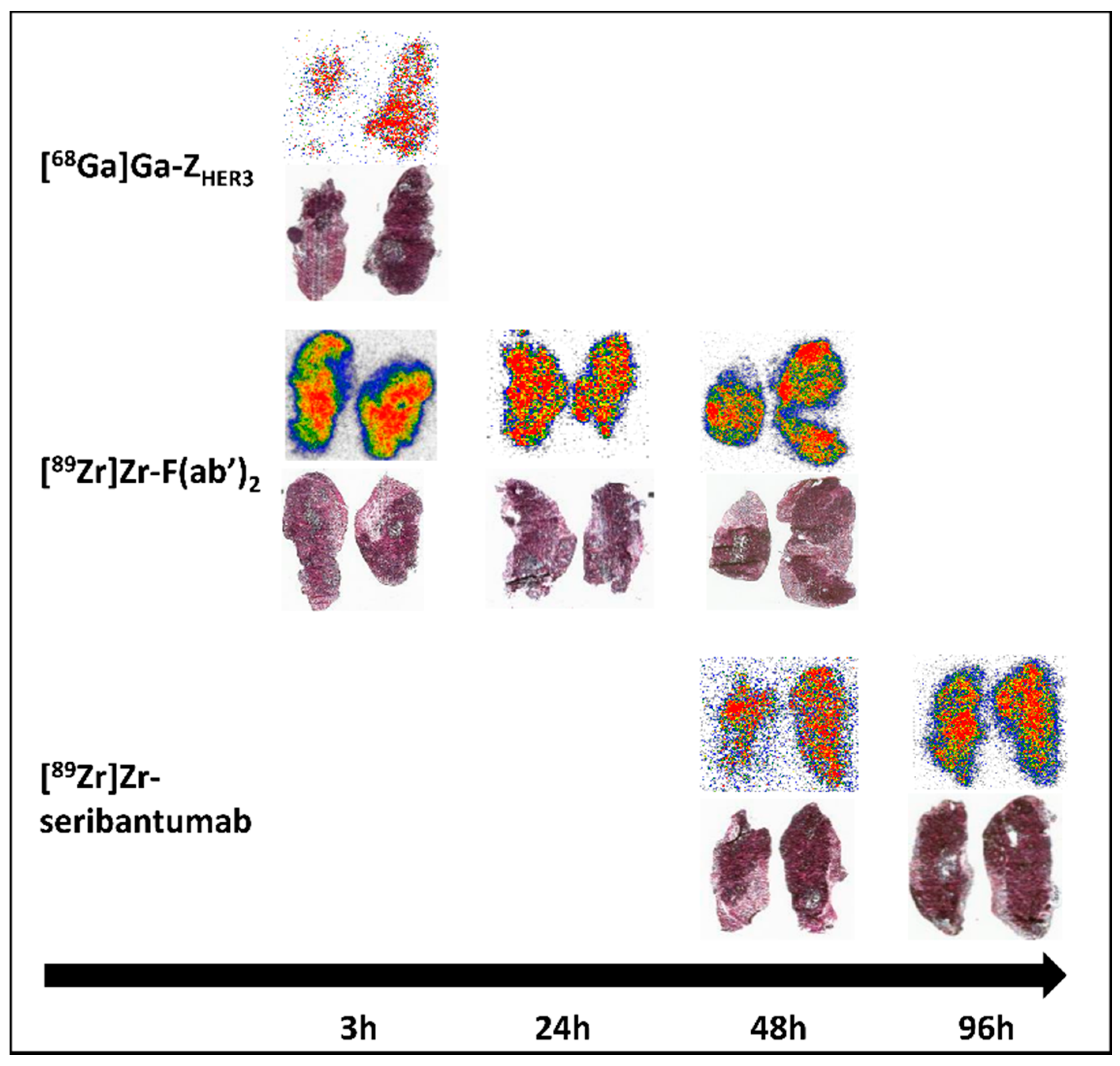 Cancers 13 04791 g006 Cancers 13 04791 g006
