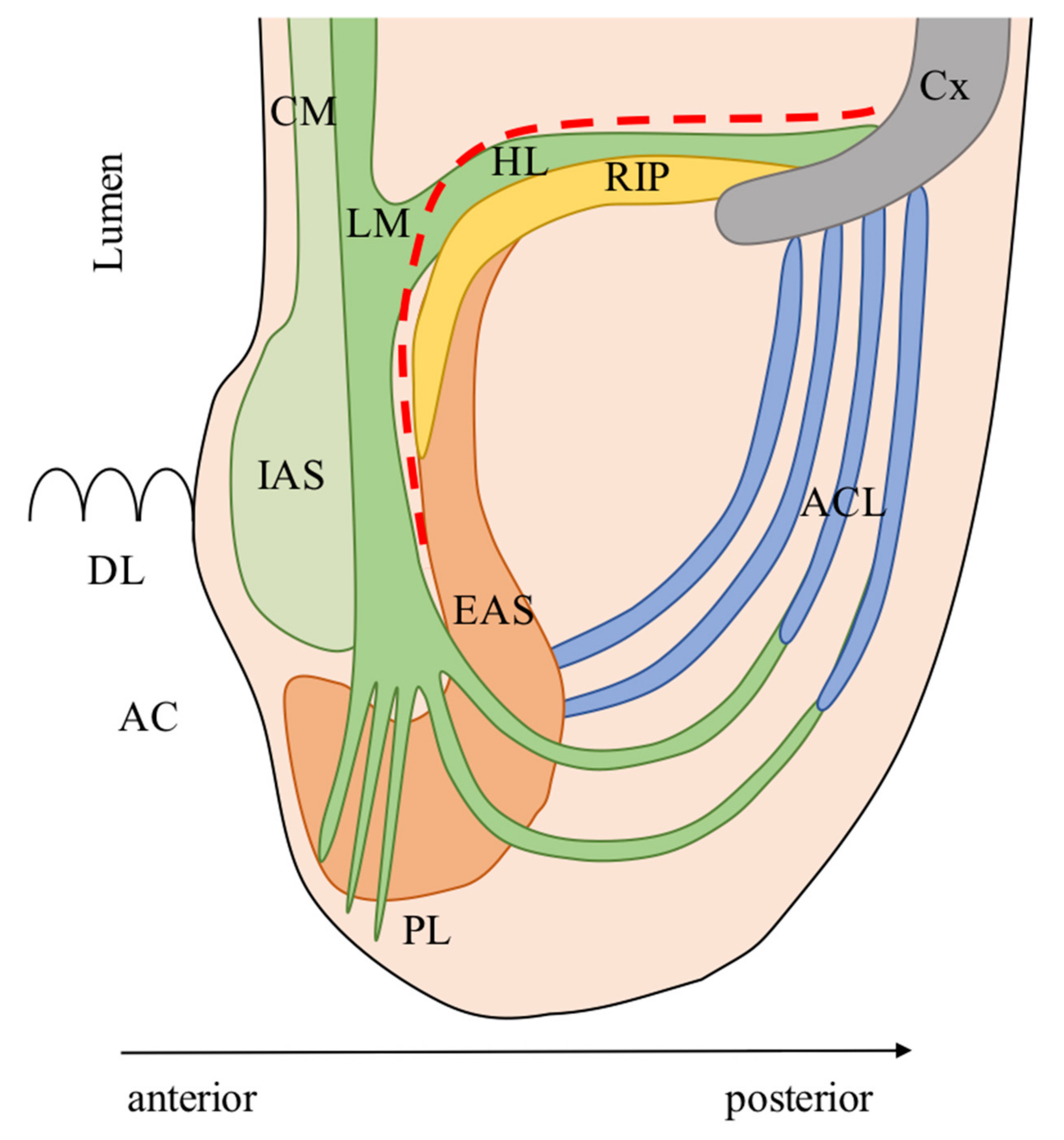 Cancers 13 04793 g001 Cancers 13 04793 g001