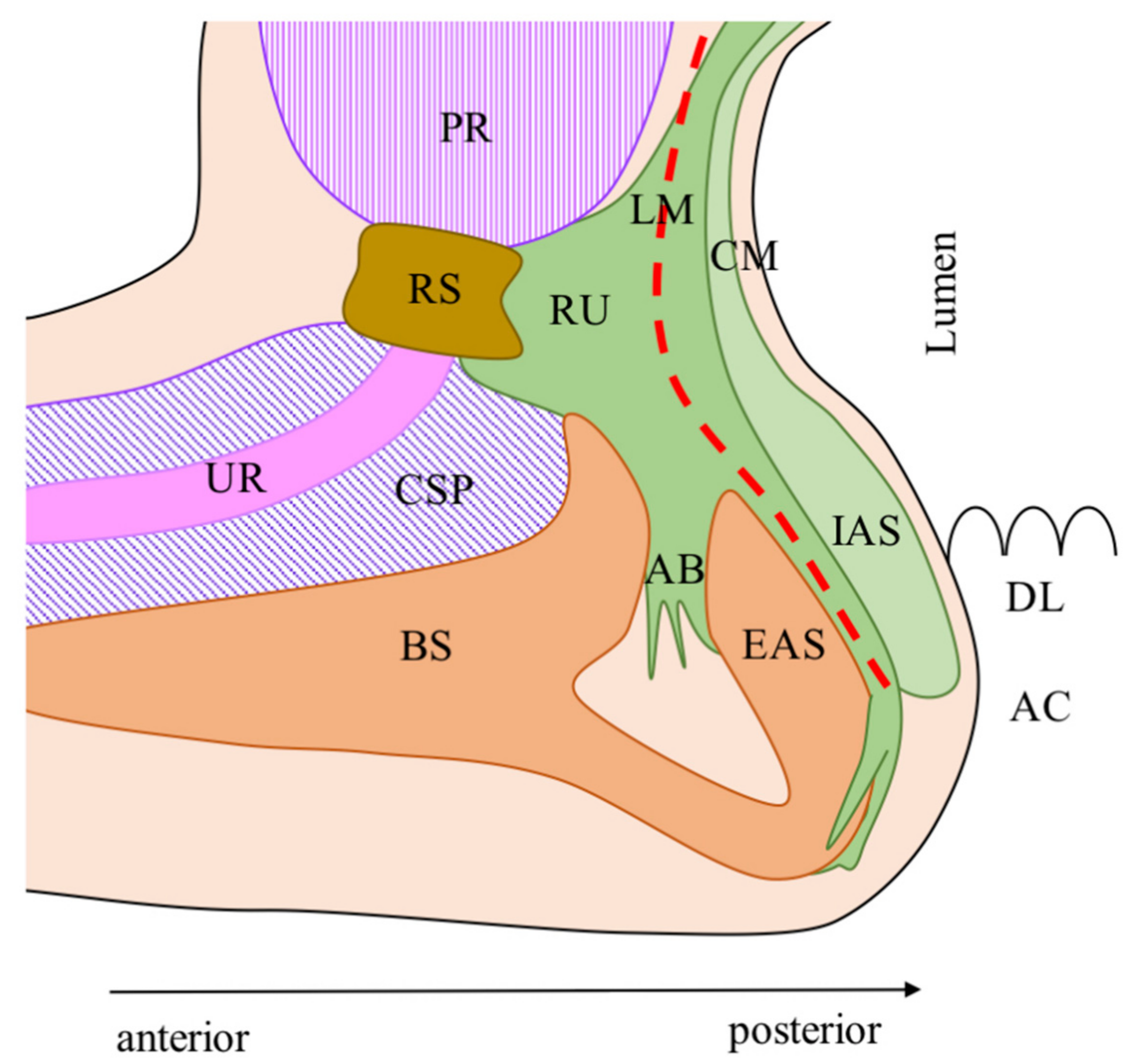 Cancers 13 04793 g002 Cancers 13 04793 g002