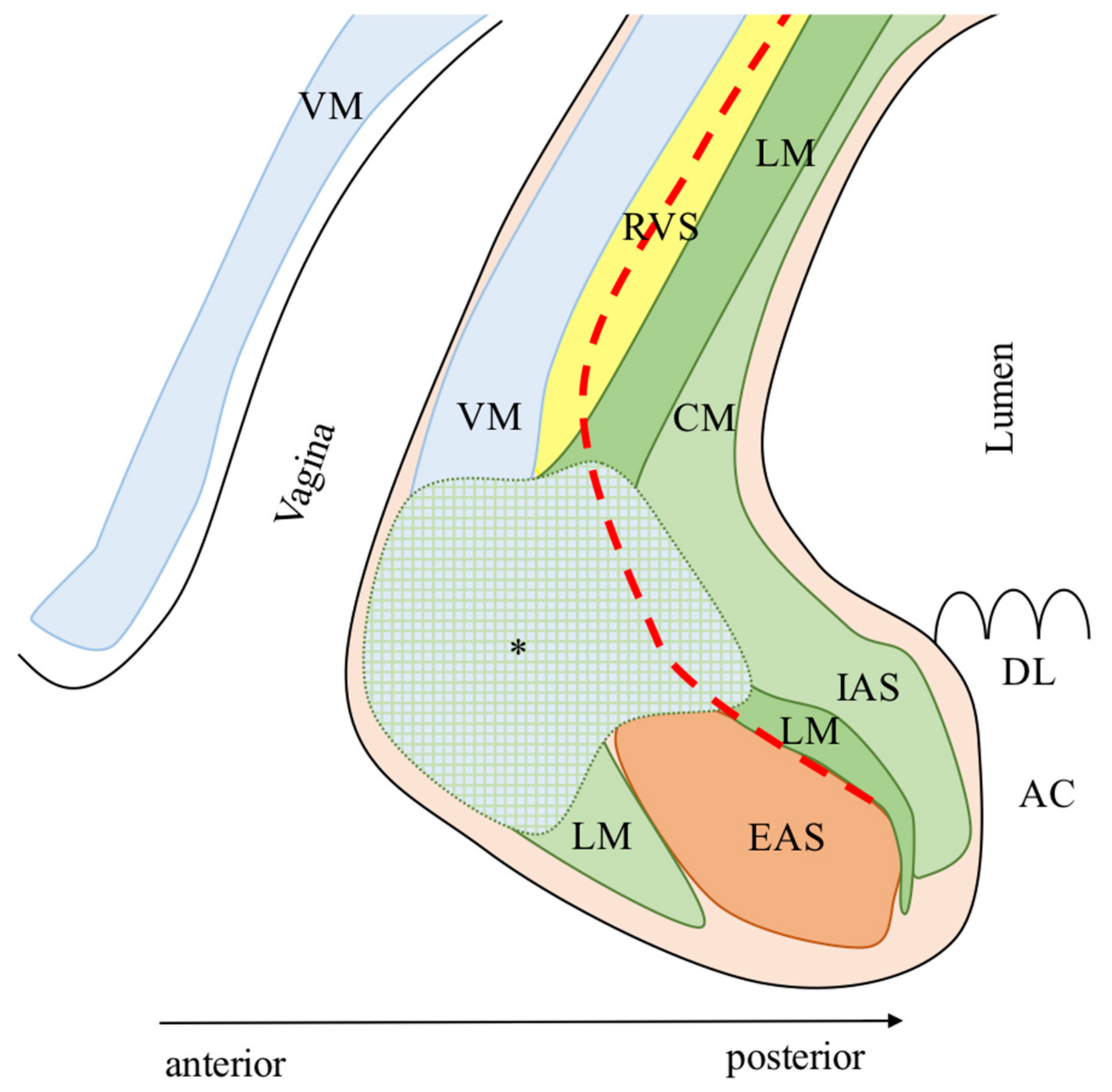 Cancers 13 04793 g003 Cancers 13 04793 g003