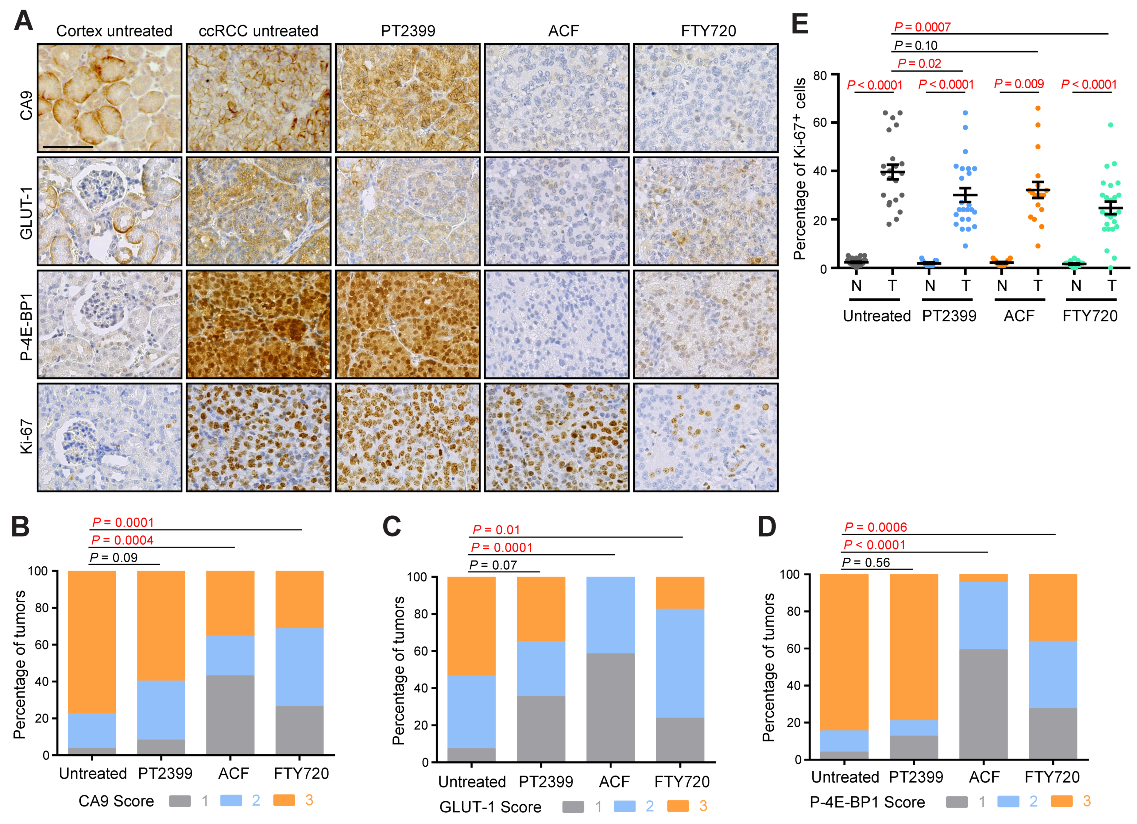 Cancers 13 04801 g002