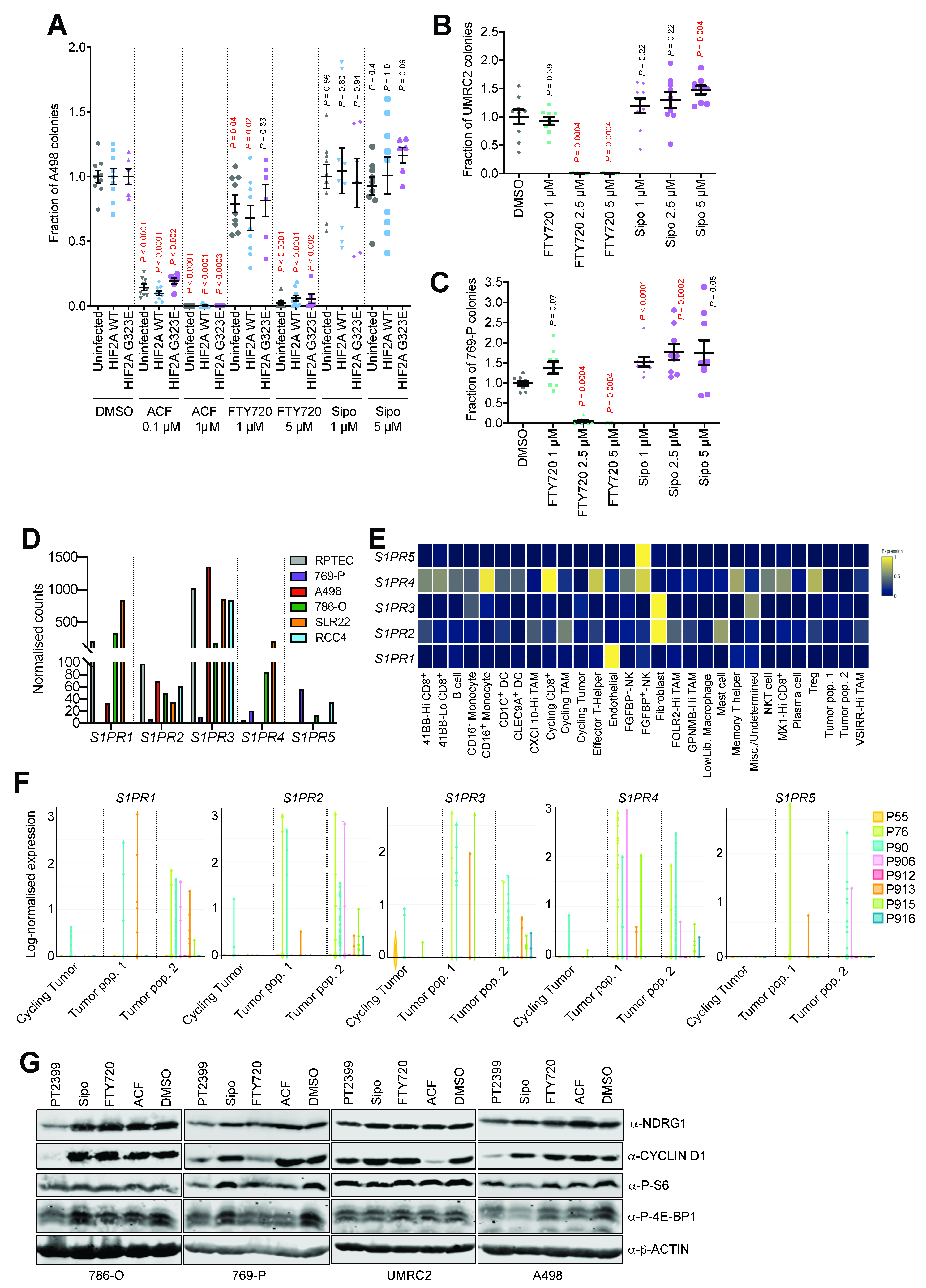 Cancers 13 04801 g005