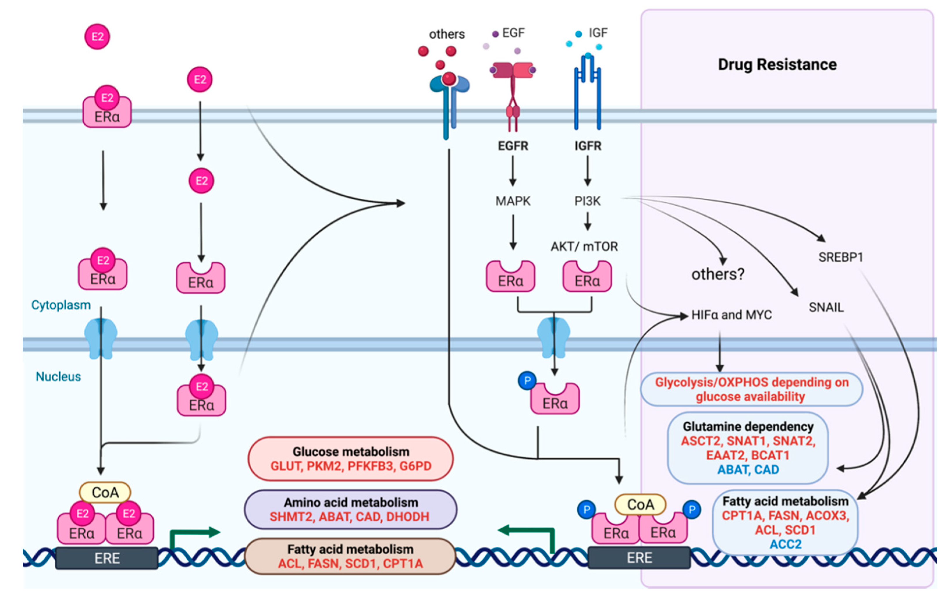 Cancers 13 04808 g002