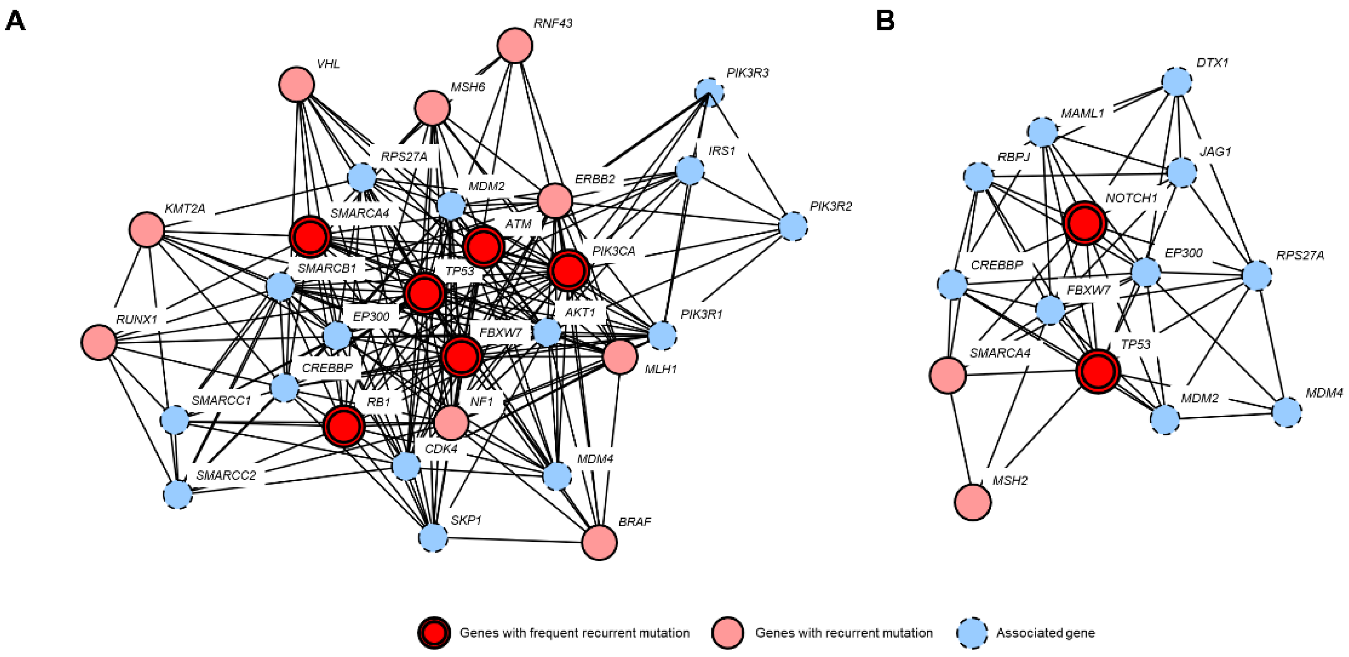 Cancers 13 04810 g003 Cancers 13 04810 g003
