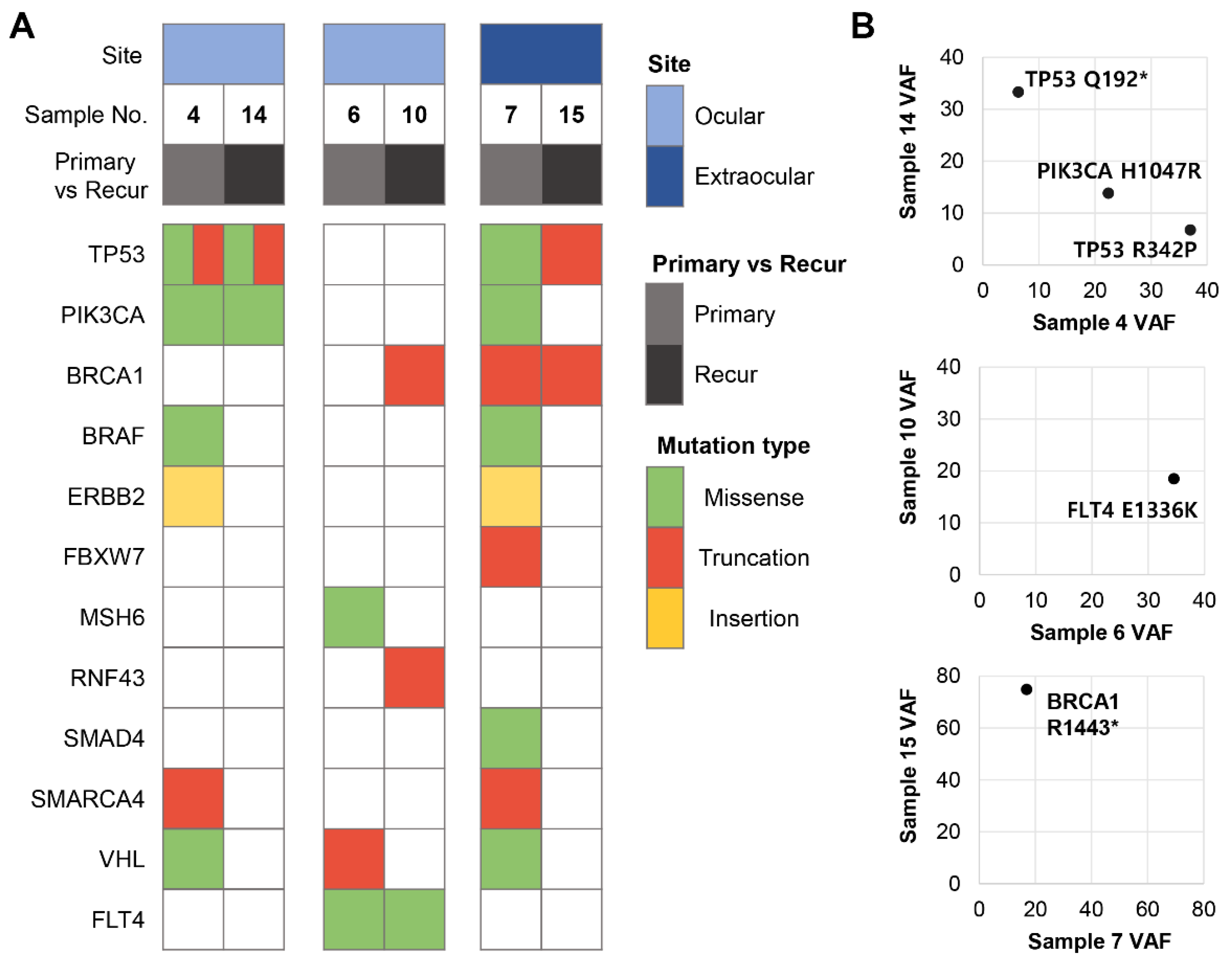 Cancers 13 04810 g004 Cancers 13 04810 g004