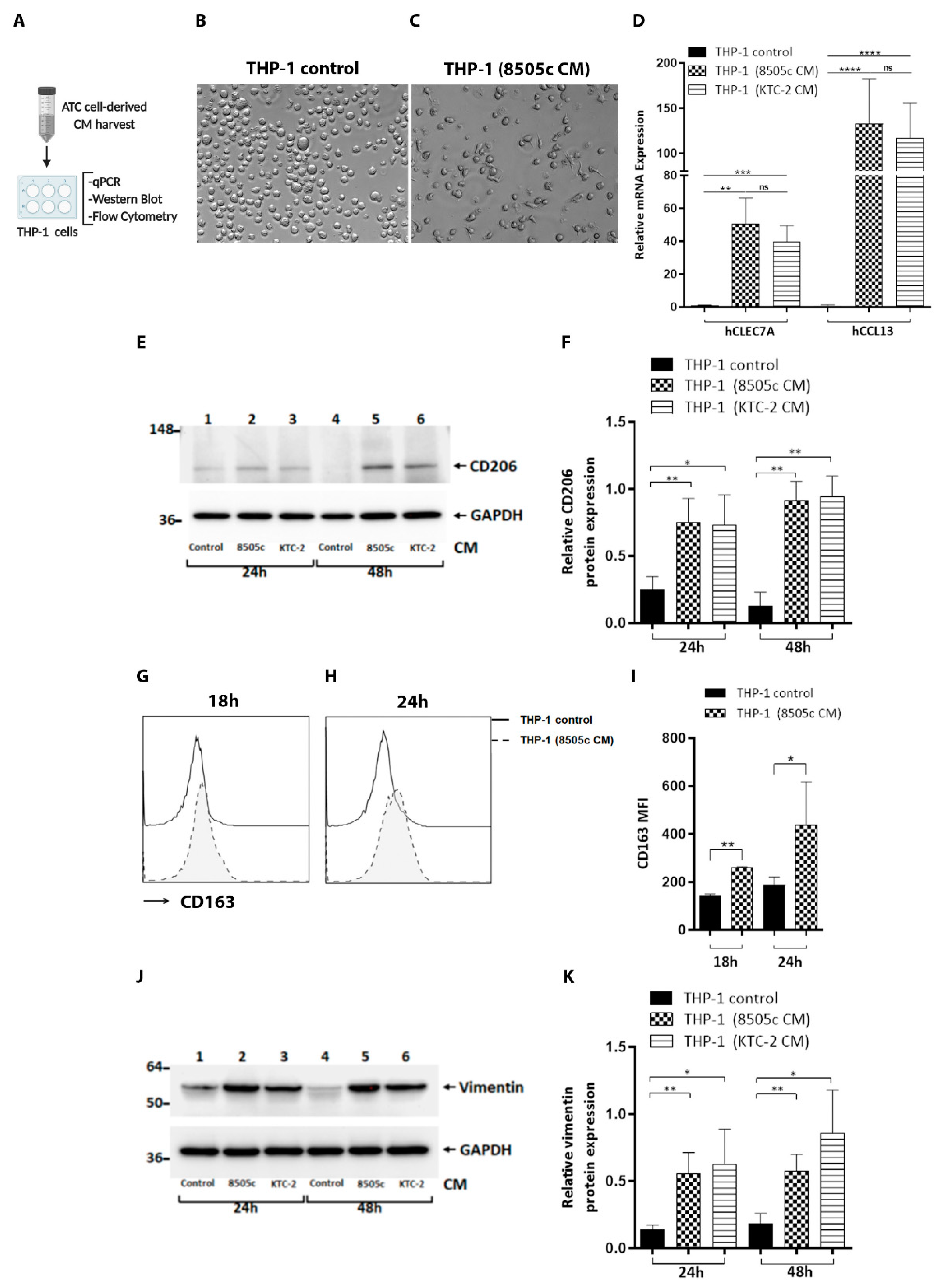 Cancers 13 04821 g001