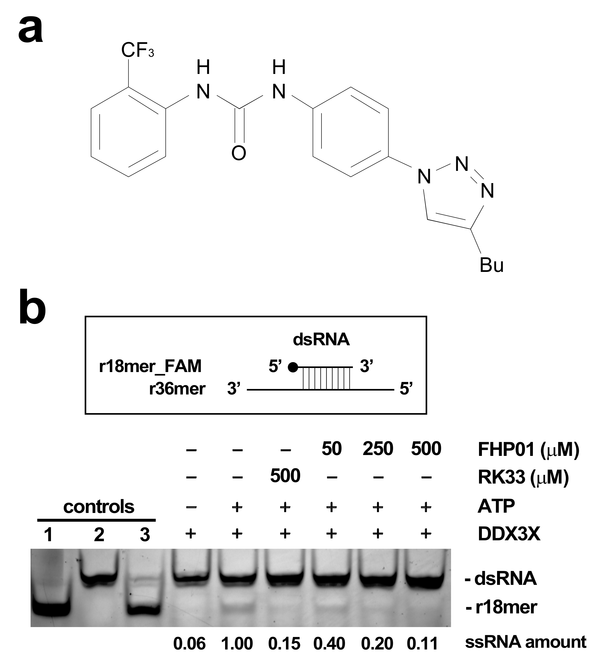 Cancers 13 04830 g001 550